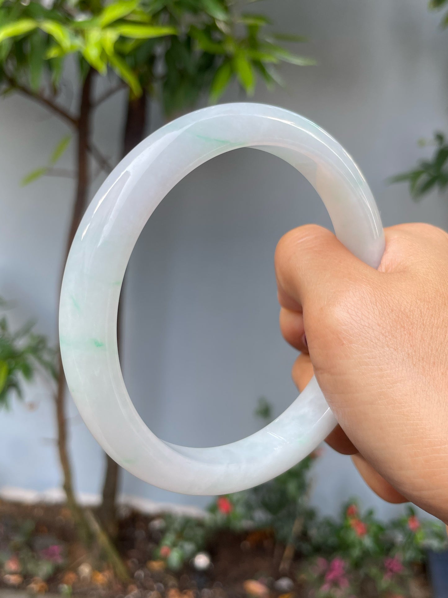 White Jadeite Bangle | 75mm (NJBA135)