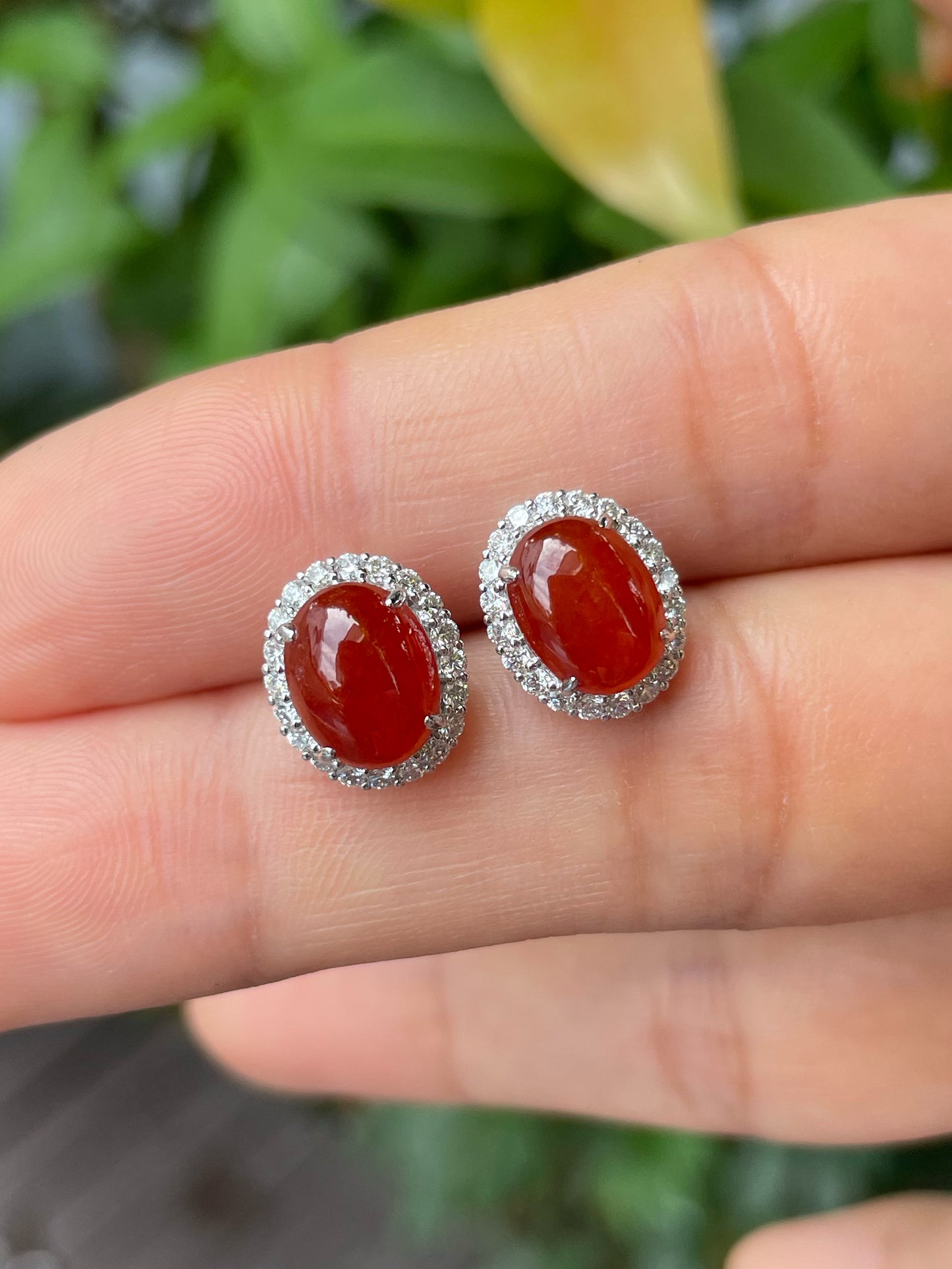 Red Jade Cabochon Earrings (NJE045)