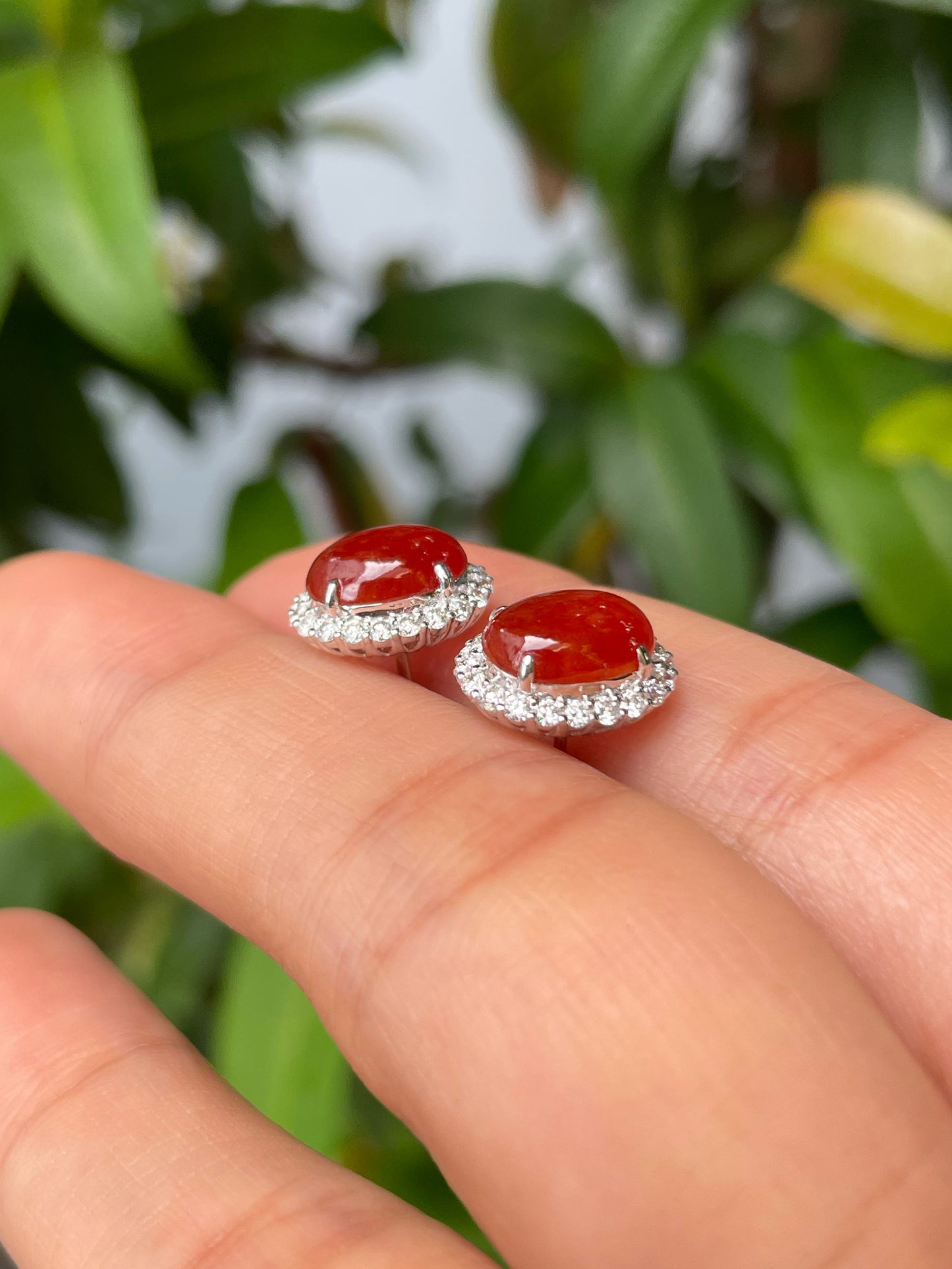 Red Jade Cabochon Earrings (NJE045)