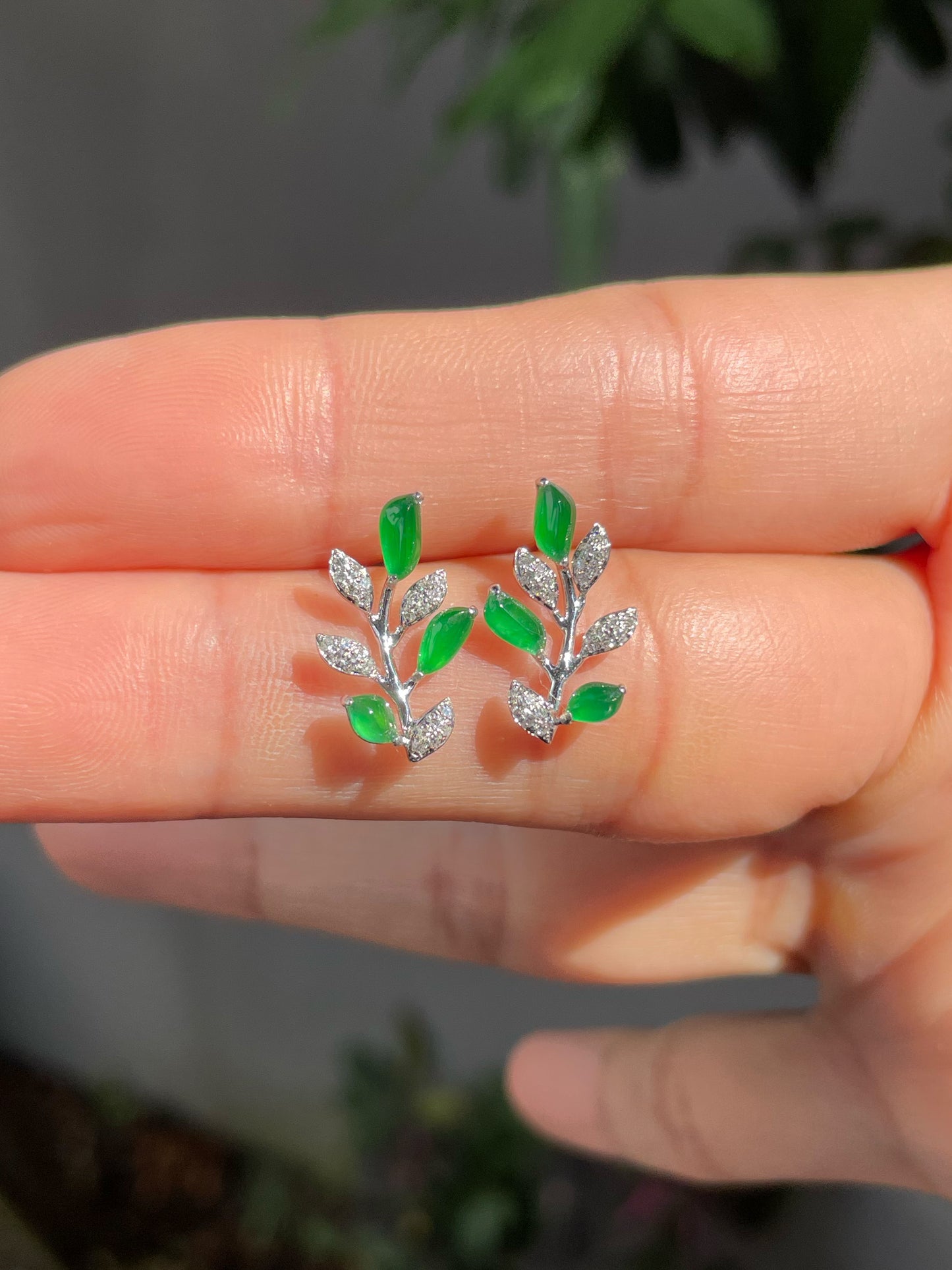 Green Jade Earrings - Leaf (NJE047)