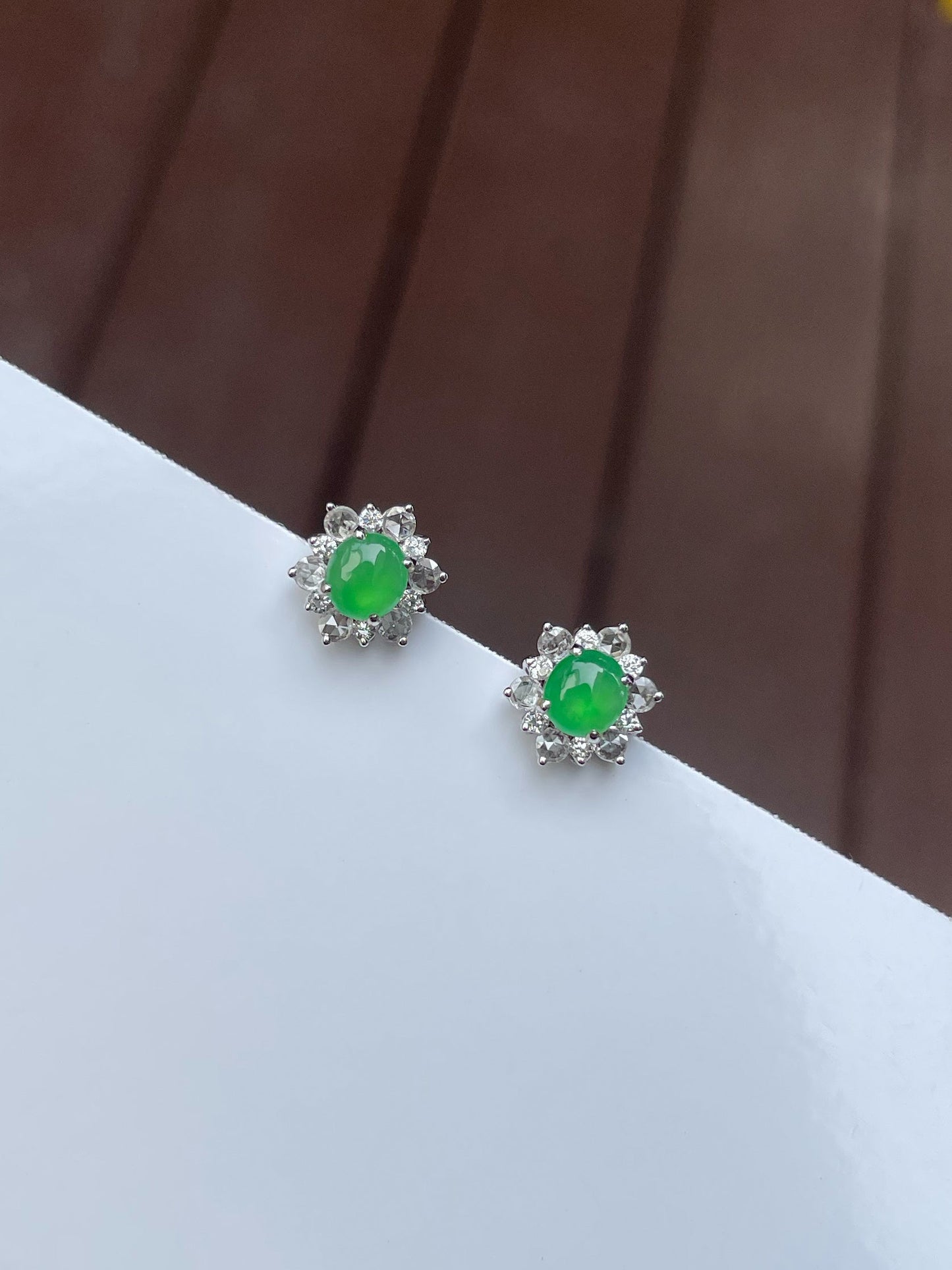 Icy Green Jadeite Earrings (NJE135)