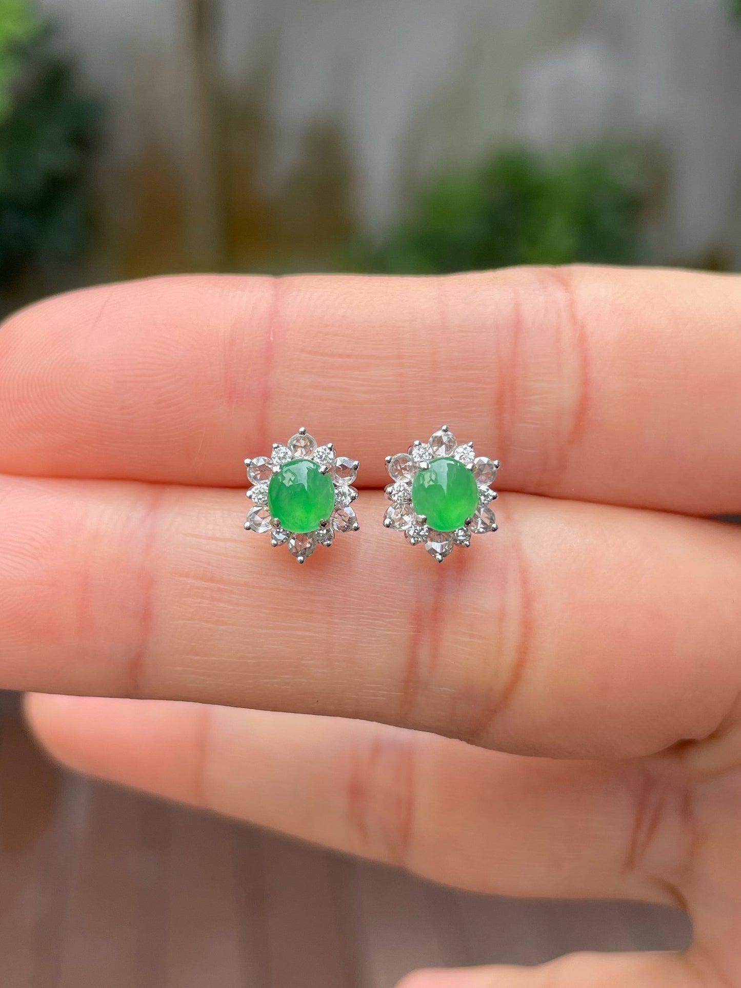 Icy Green Jadeite Earrings (NJE135)