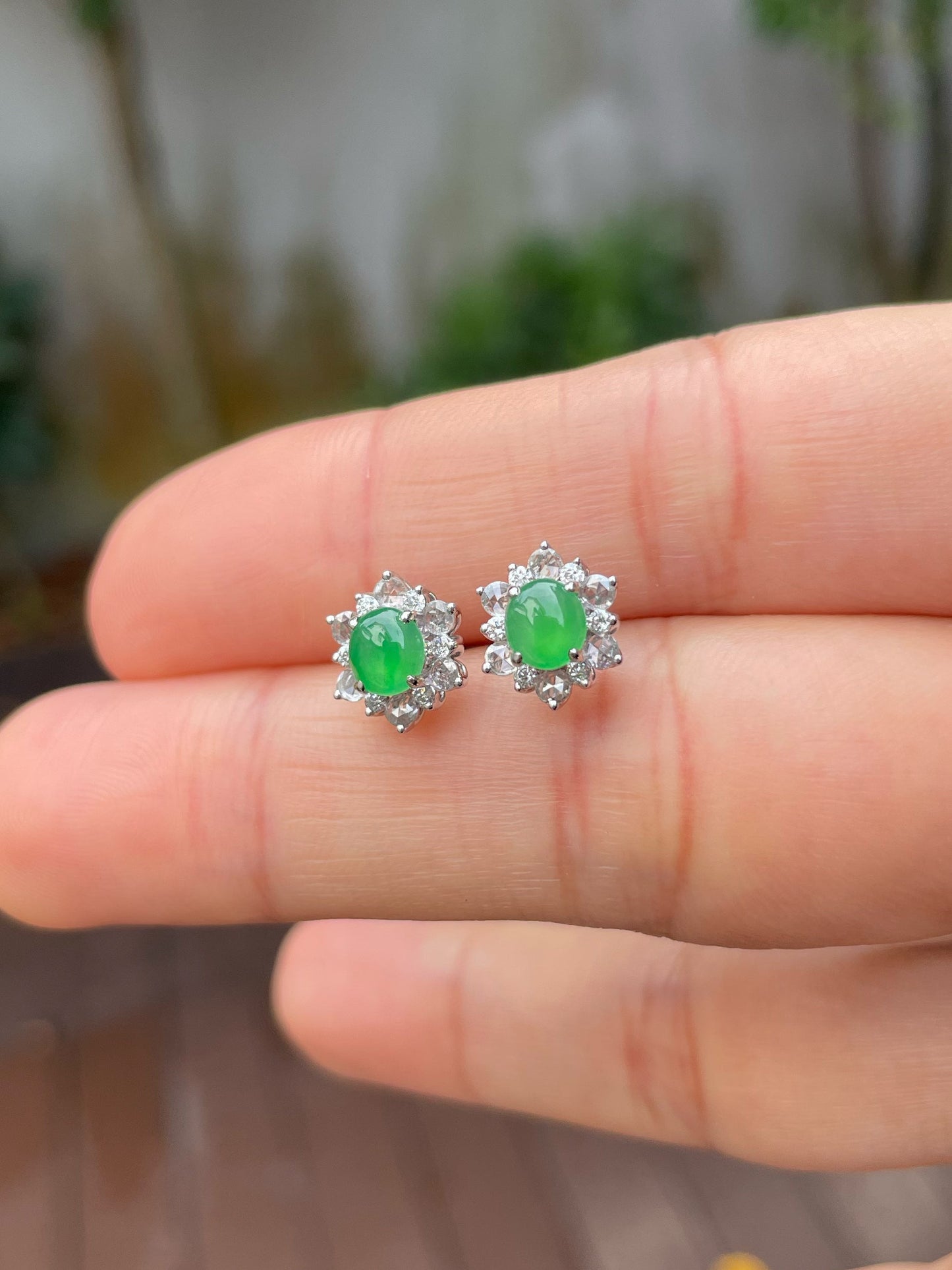 Icy Green Jadeite Earrings (NJE135)