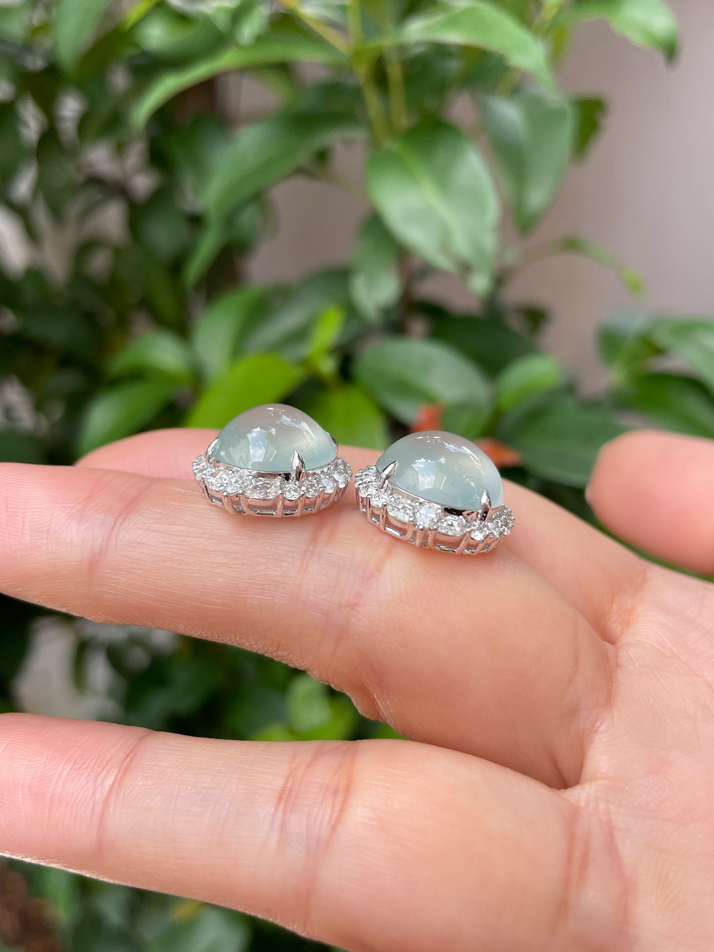 Glassy Jade Cabochon Earrings (NJE140)