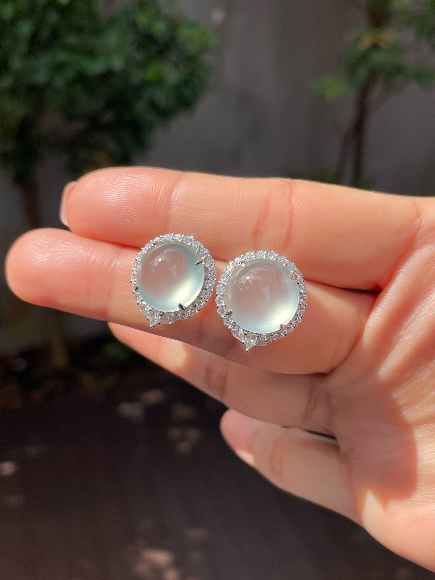 Glassy Jade Cabochon Earrings (NJE140)