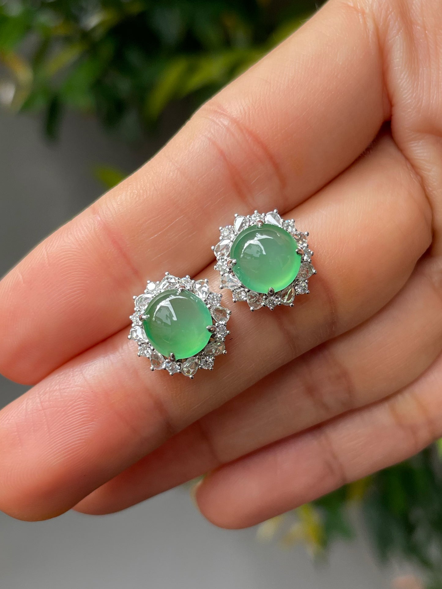 Icy Green Jade Cabochon Earrings (NJE168)