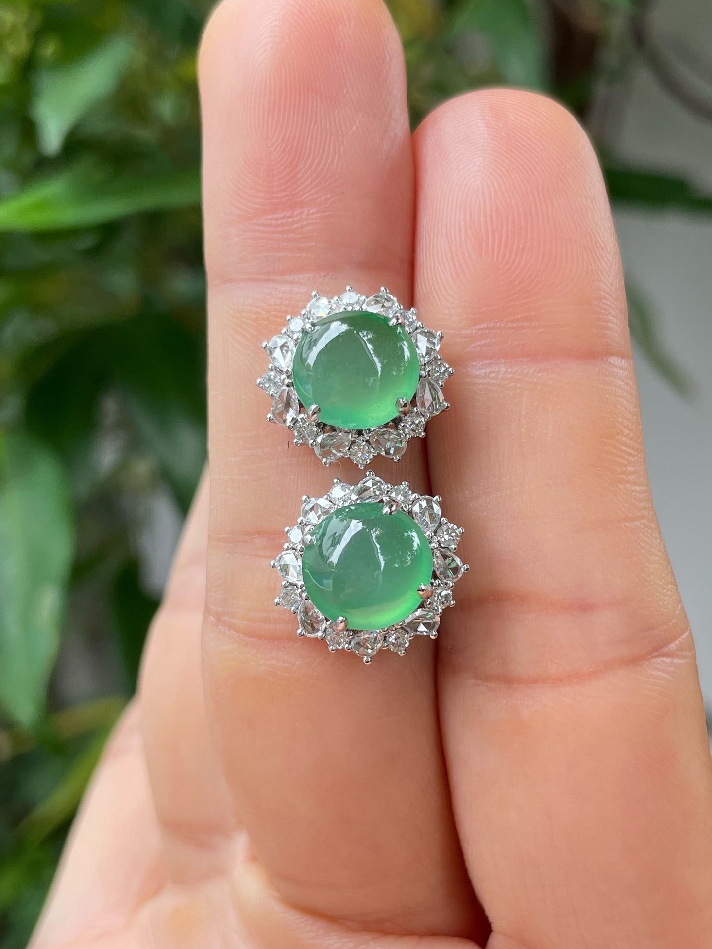 Icy Green Jade Cabochon Earrings (NJE168)