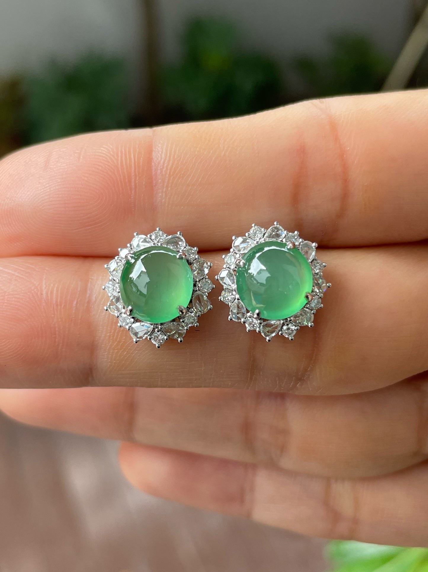 Icy Green Jade Cabochon Earrings (NJE168)