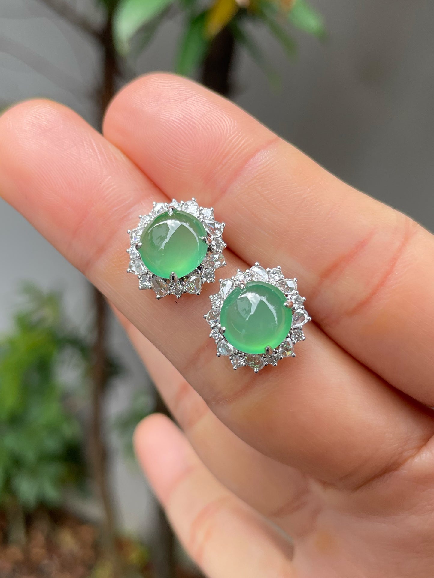 Icy Green Jade Cabochon Earrings (NJE168)