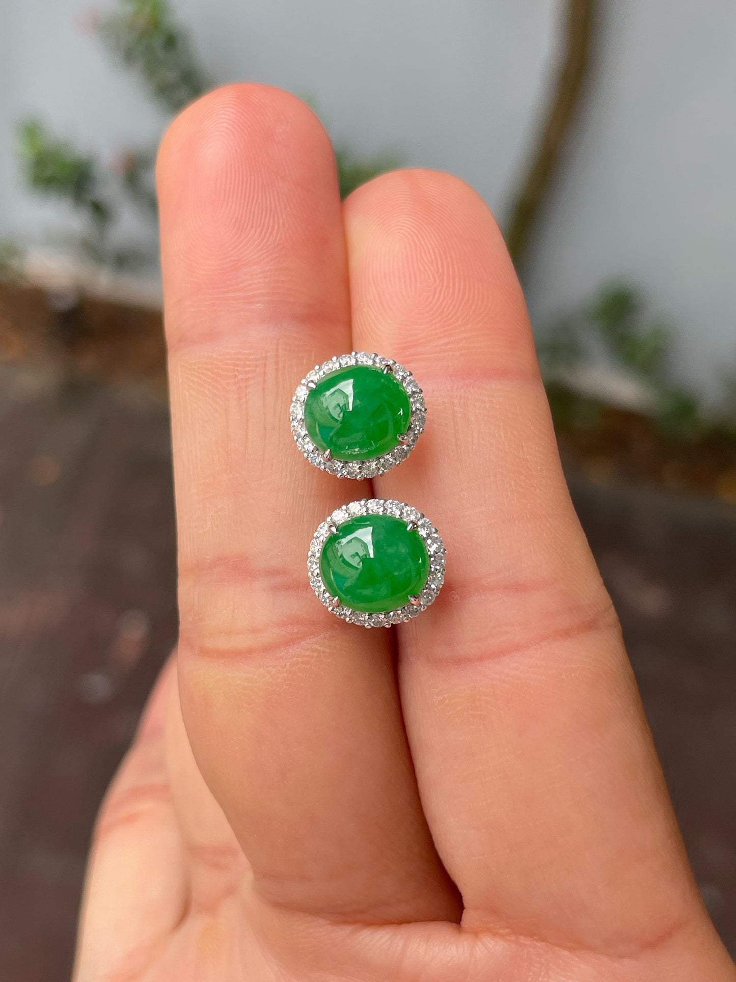 Green Jadeite Cabochon Earrings (NJE210)