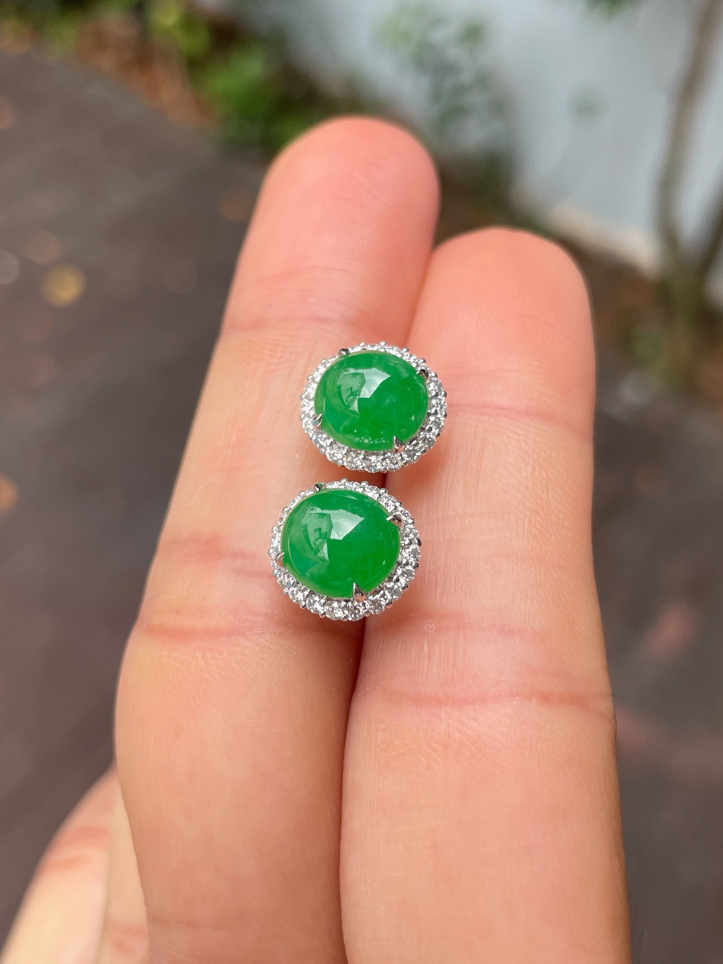 Green Jadeite Cabochon Earrings (NJE210)