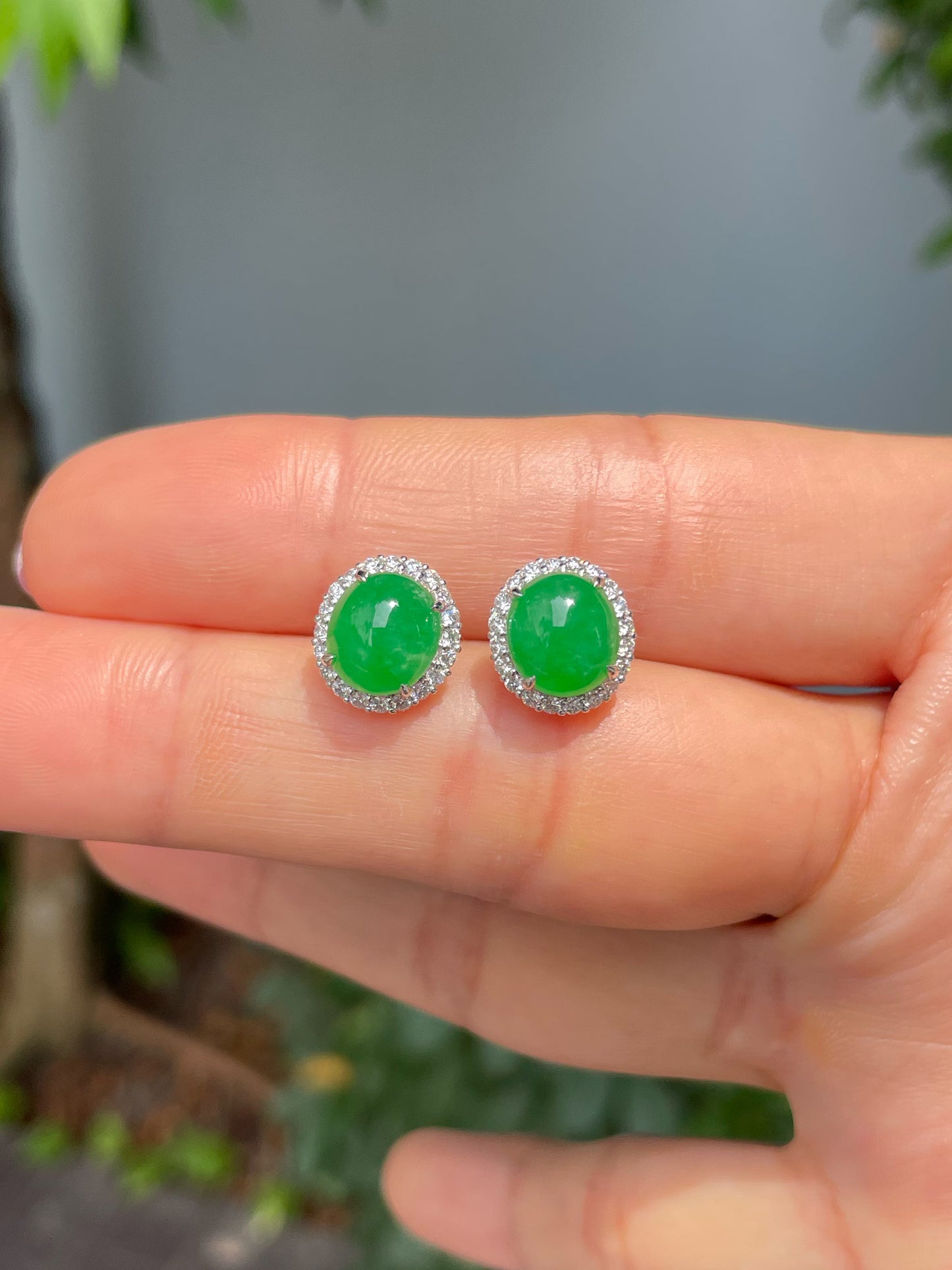 Green Jadeite Cabochon Earrings (NJE210)