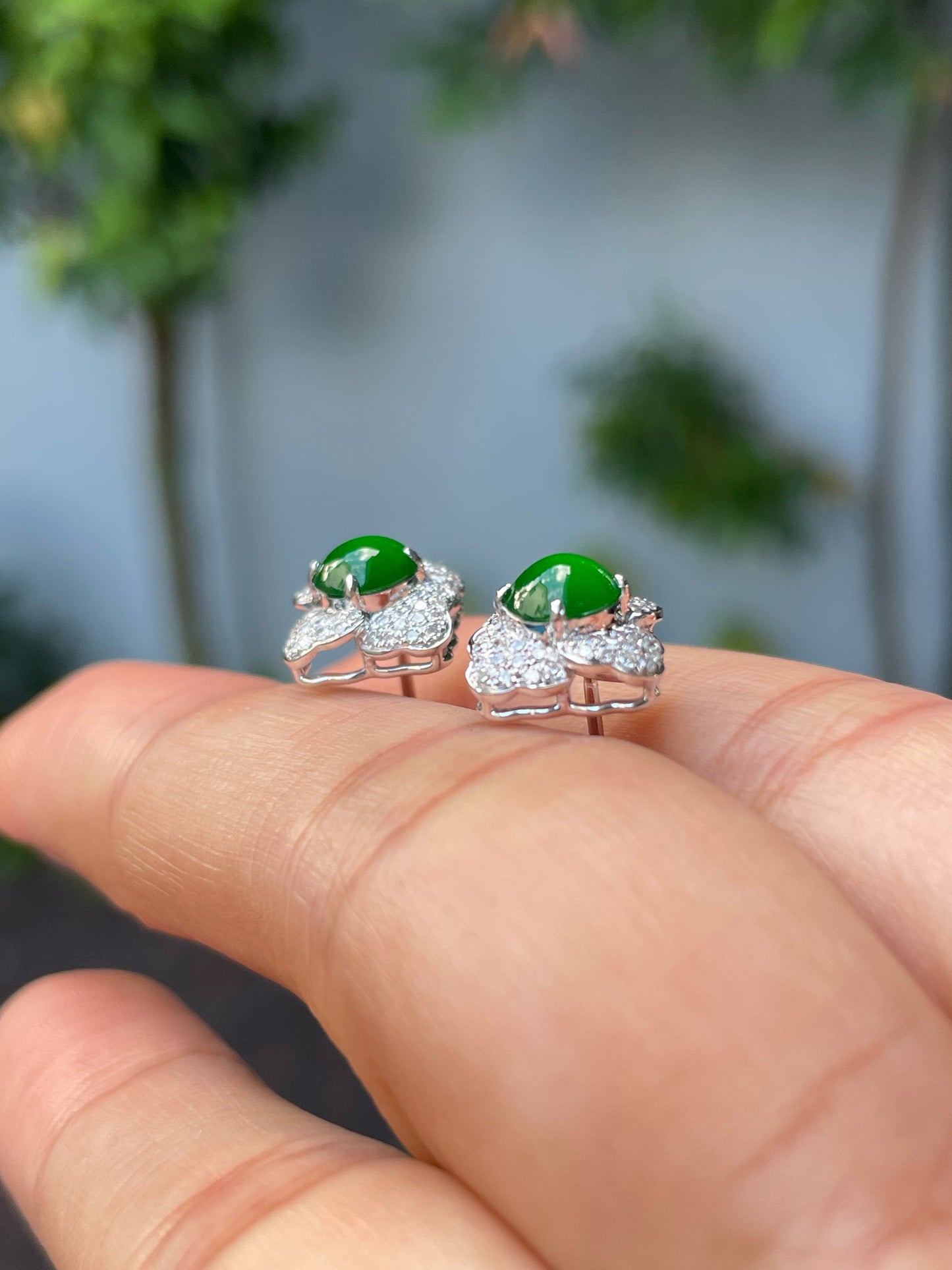 Green Jade Earrings - Cabochons (NJE237)
