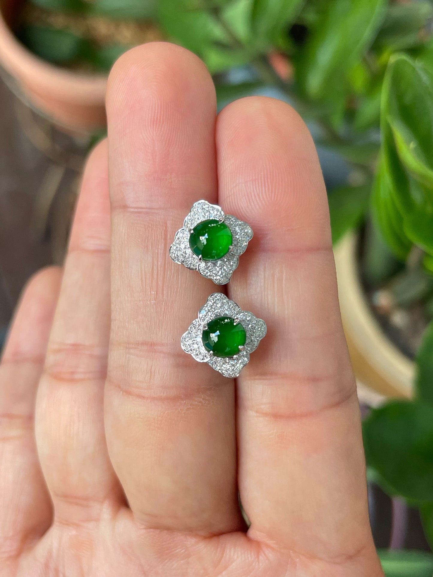 Green Jade Earrings - Cabochons (NJE237)