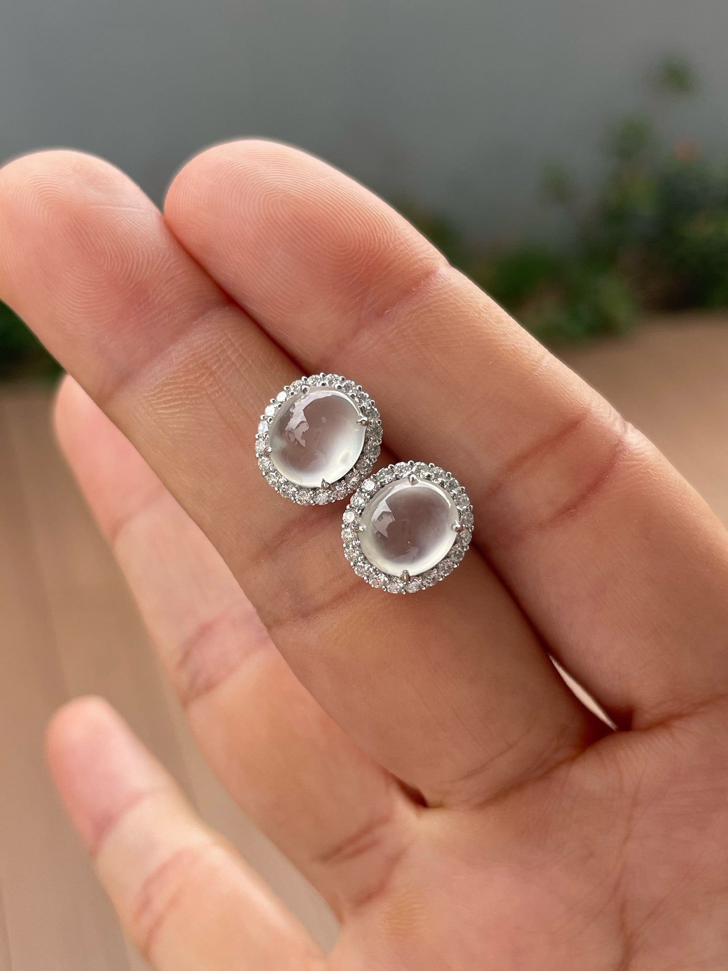 Glassy Jade Cabochon Earrings (NJE261)