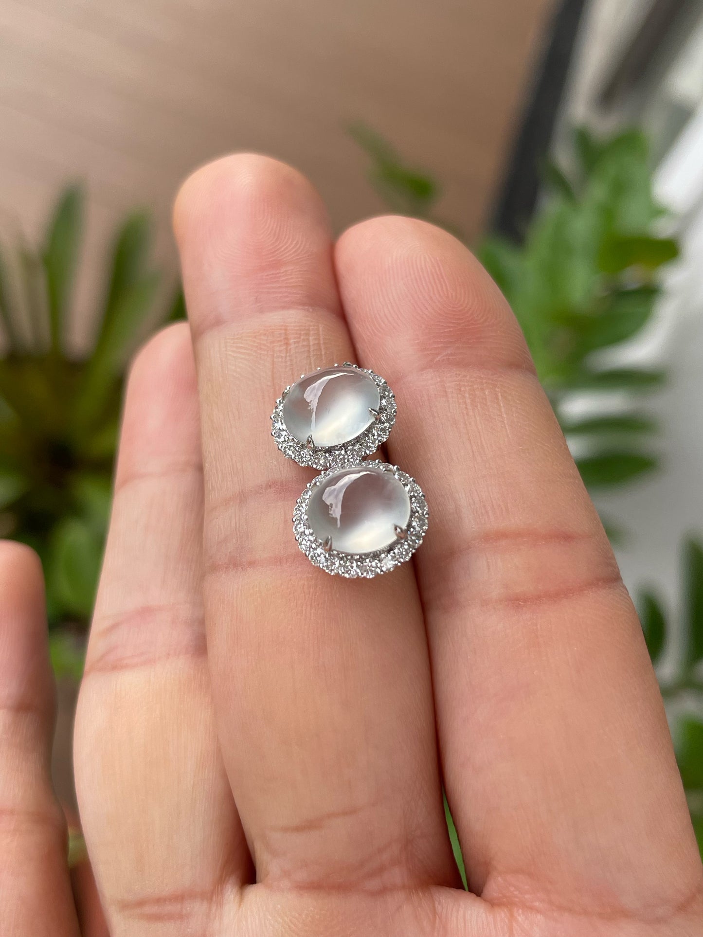 Glassy Jade Cabochon Earrings (NJE261)