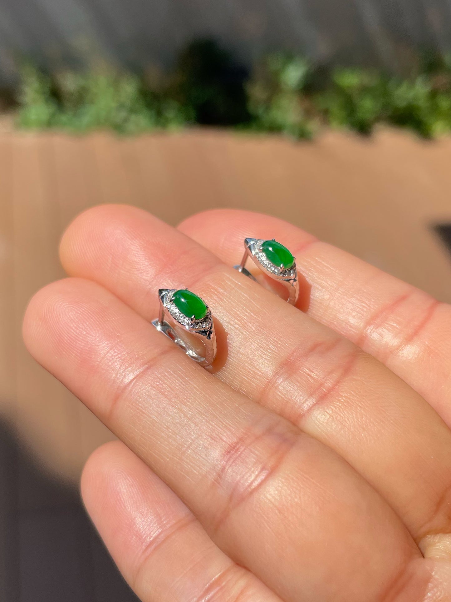 Green Jade Earrings - Cabochons (NJE263)