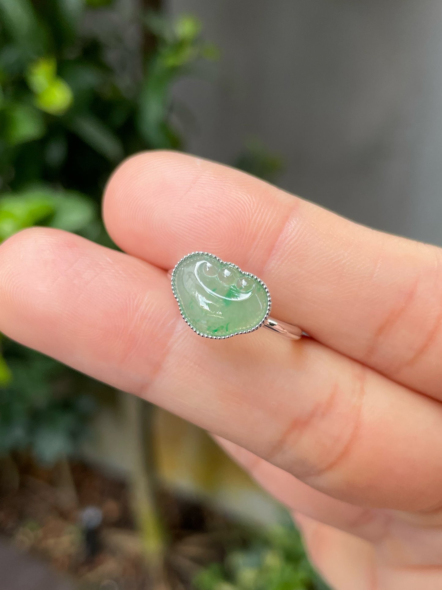 Light Green Jadeite Ring - Ruyi 如意 (NJR160)