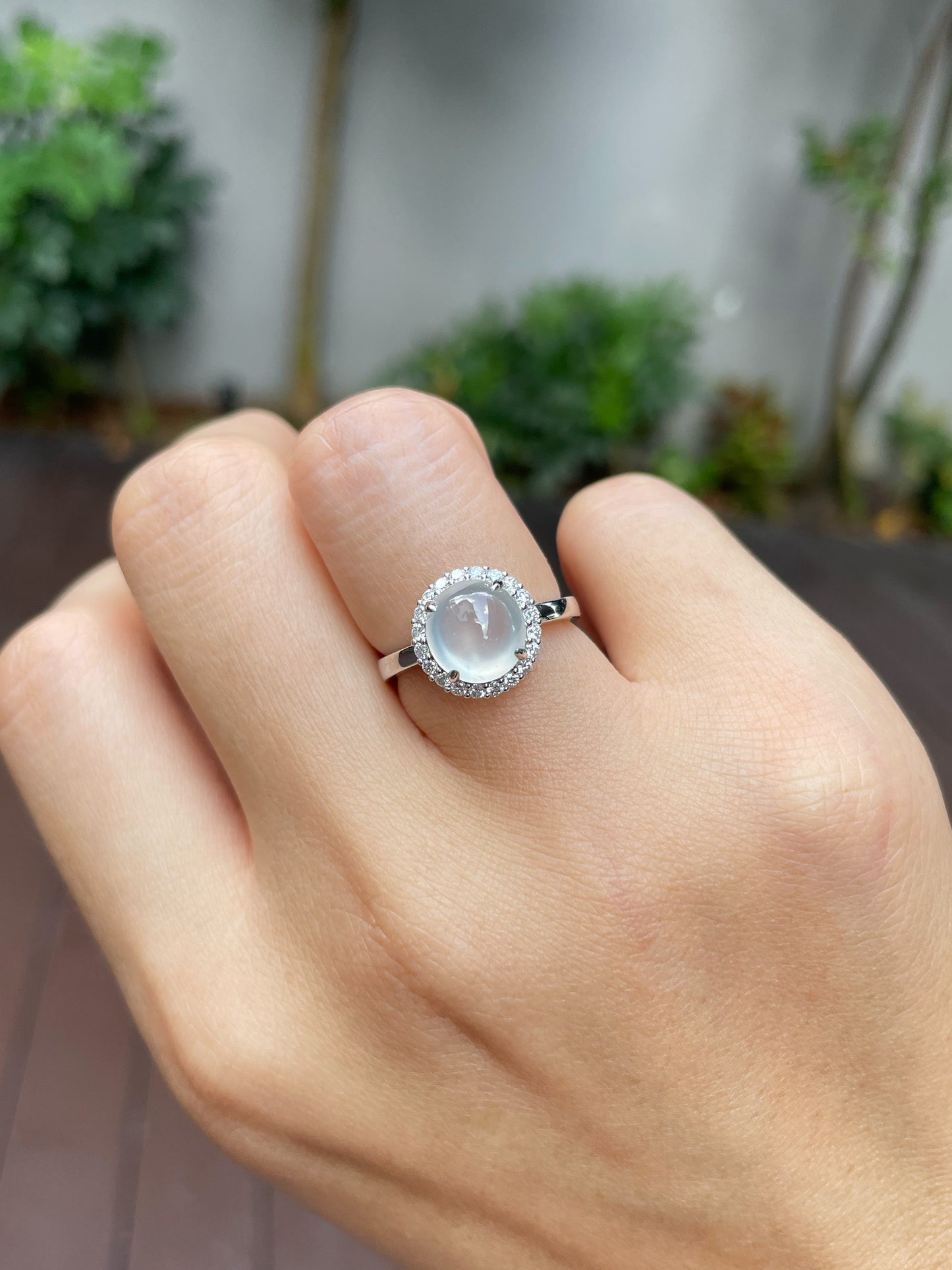 Glassy Jade Cabochon Ring (NJR173)