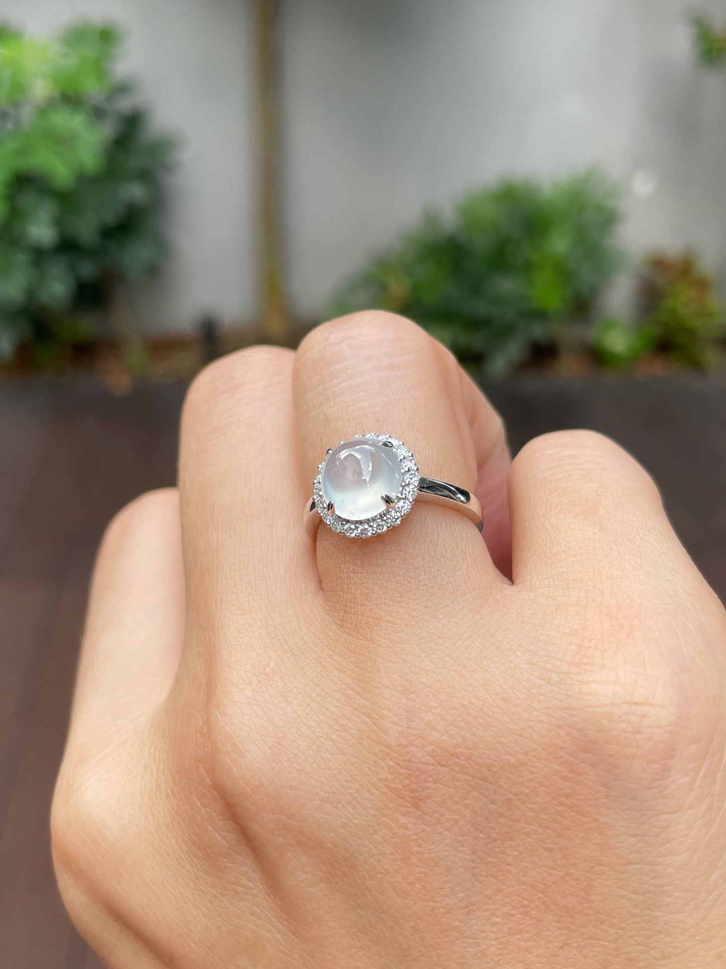 Glassy Jade Cabochon Ring (NJR173)