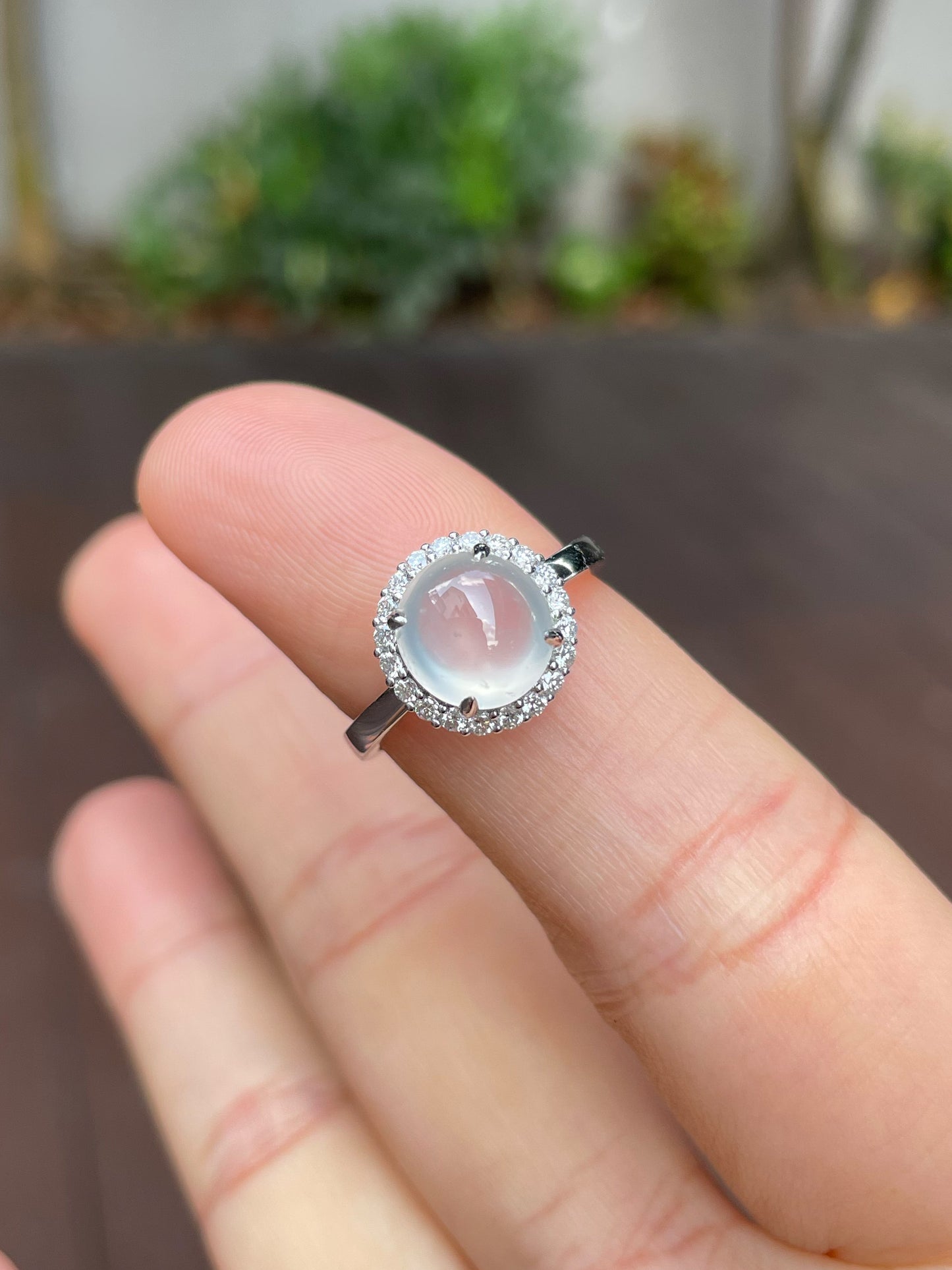 Glassy Jade Cabochon Ring (NJR173)