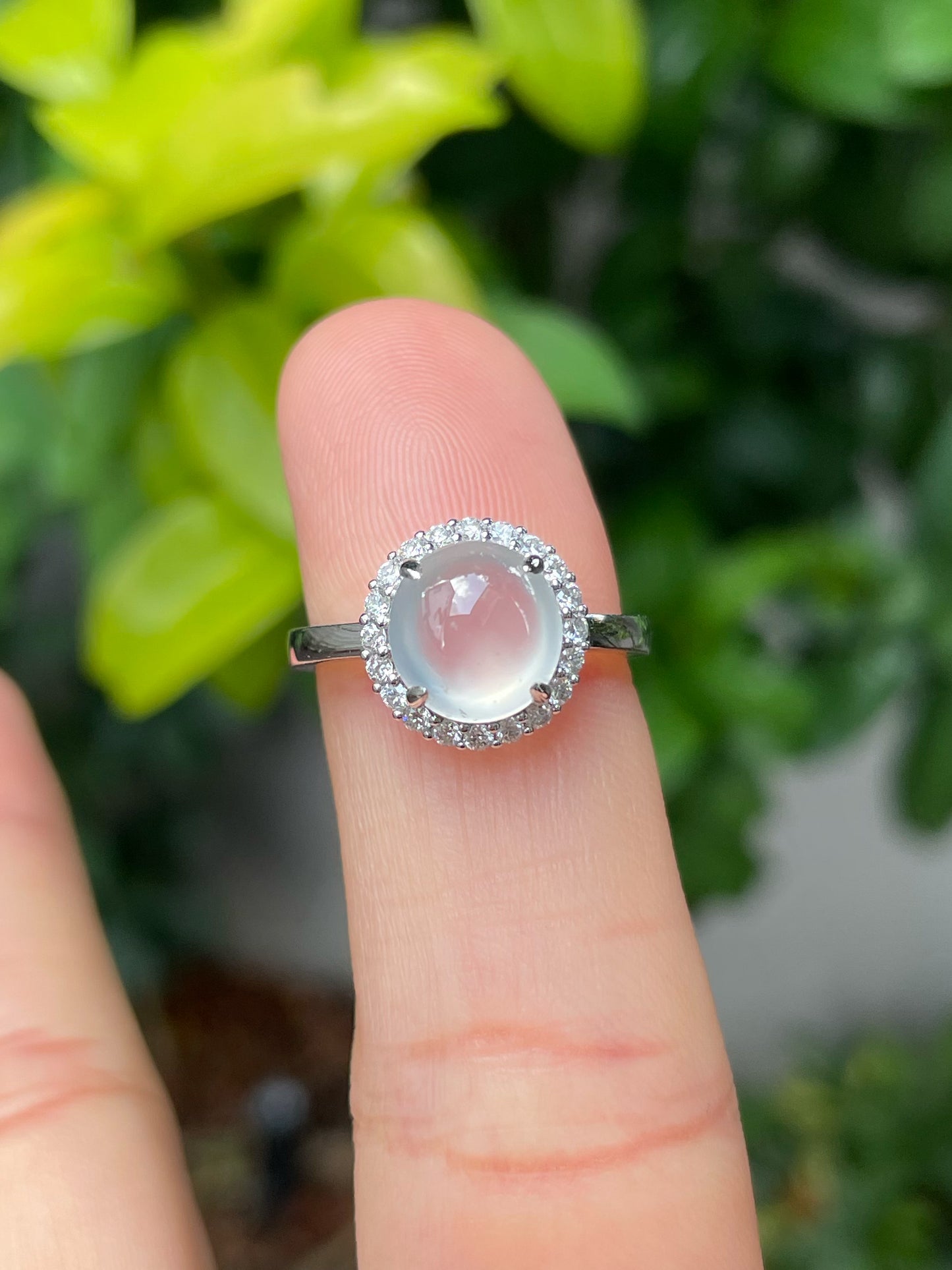Glassy Jade Cabochon Ring (NJR173)