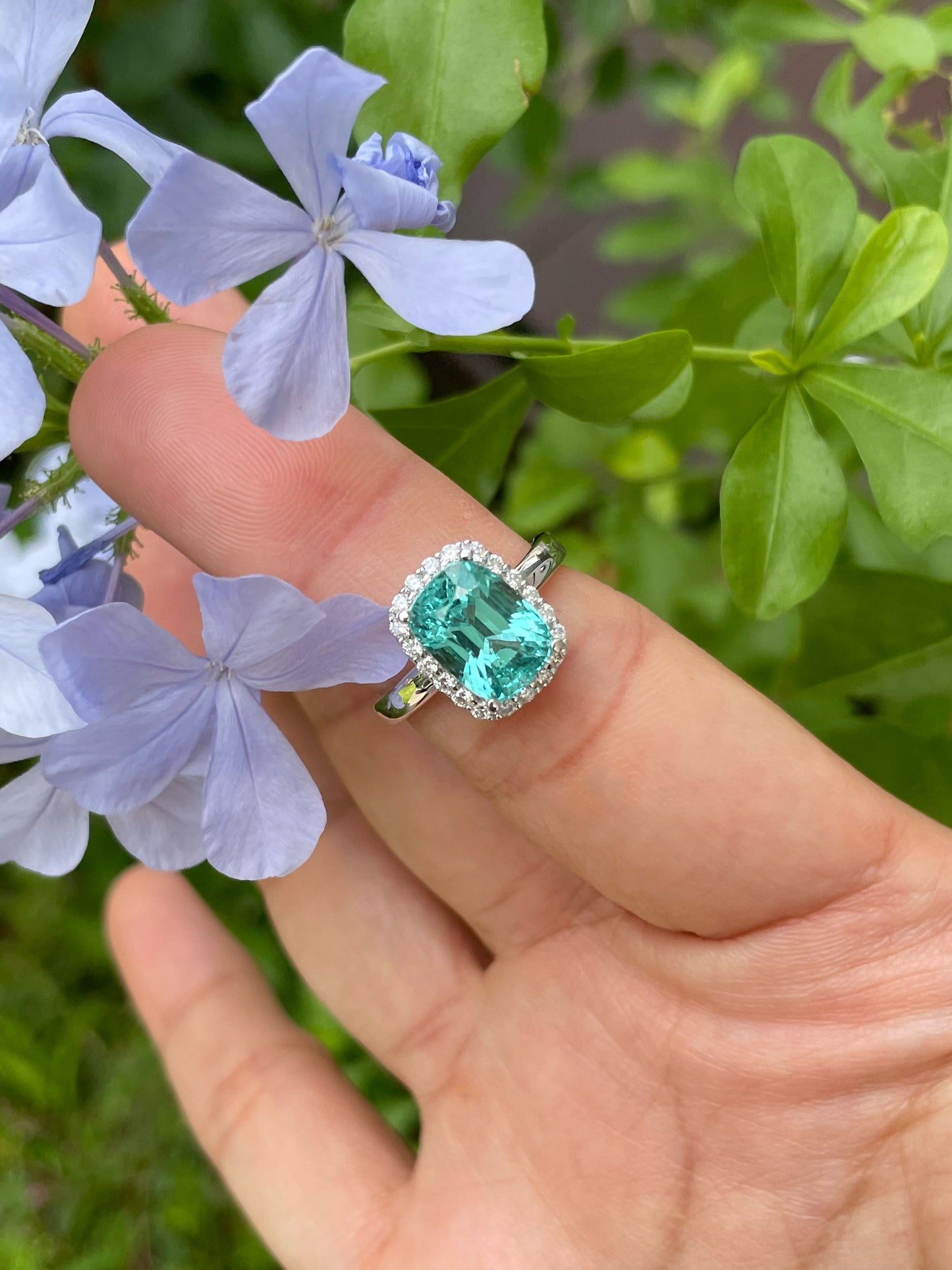 Lagoon Tourmaline Ring - 3.85CT (NJR195)