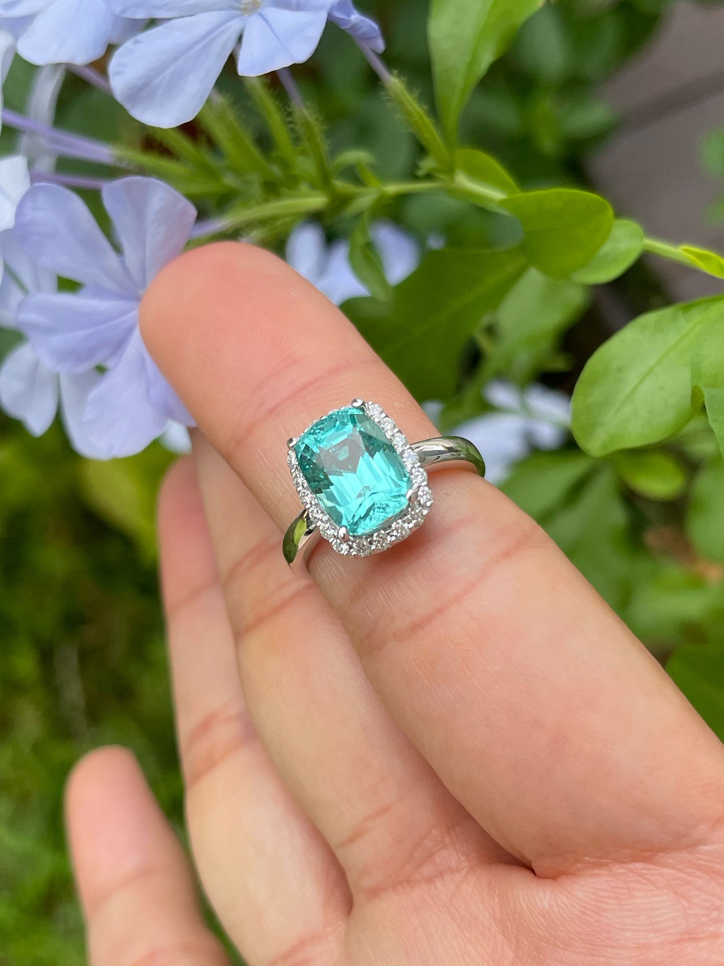 Lagoon Tourmaline Ring - 3.85CT (NJR195)