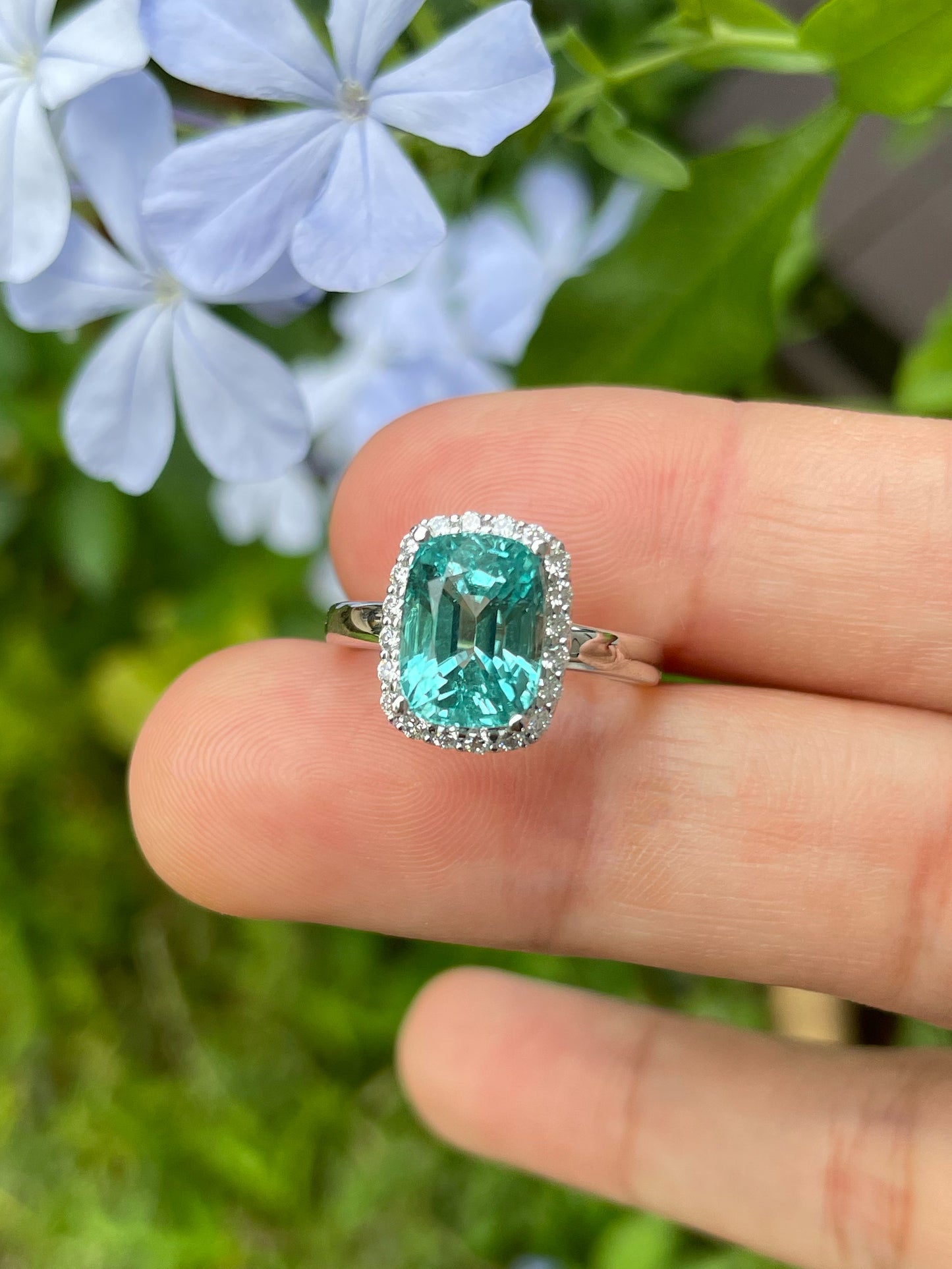 Lagoon Tourmaline Ring - 3.85CT (NJR195)