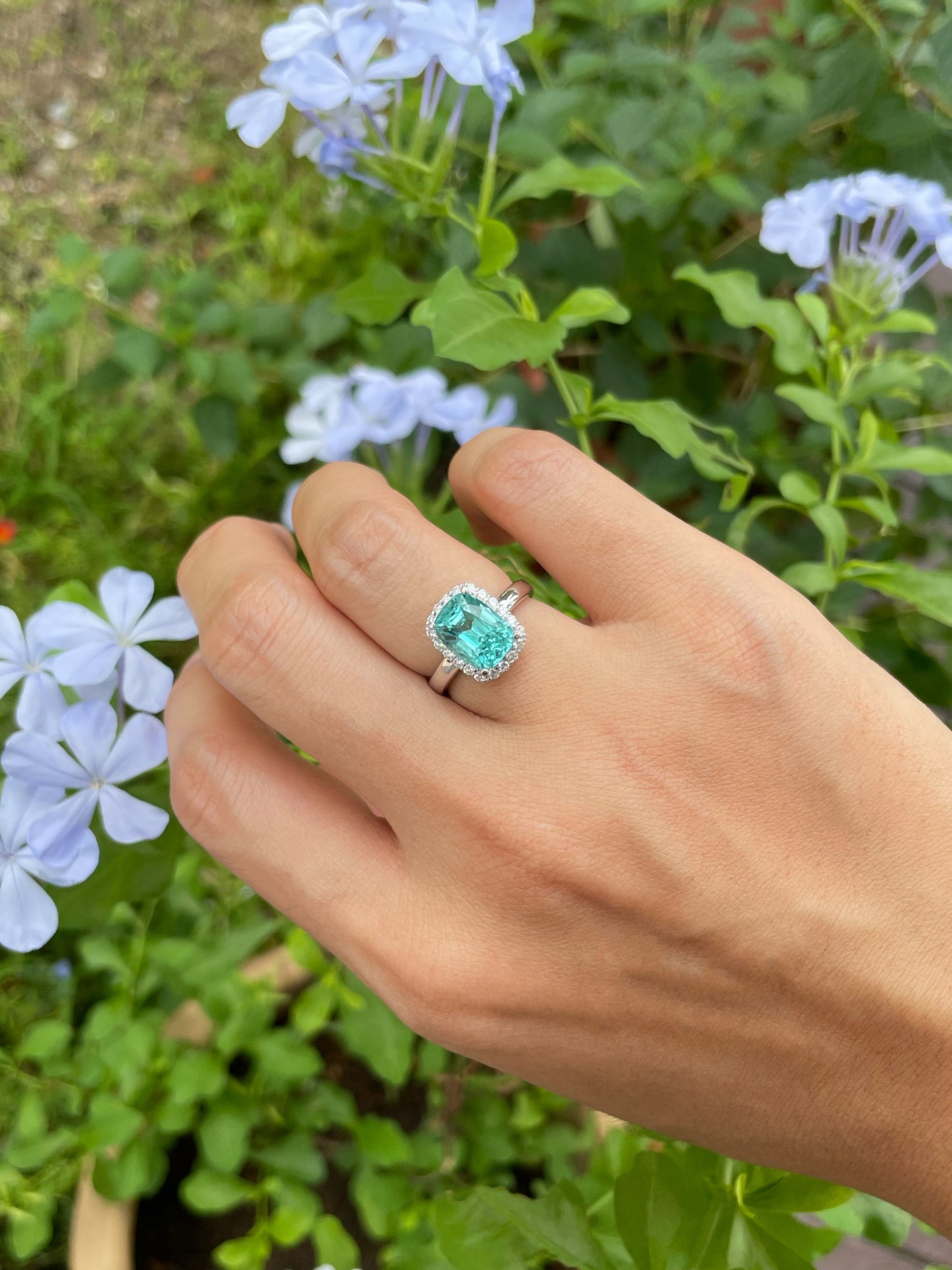 Lagoon Tourmaline Ring - 3.85CT (NJR195)