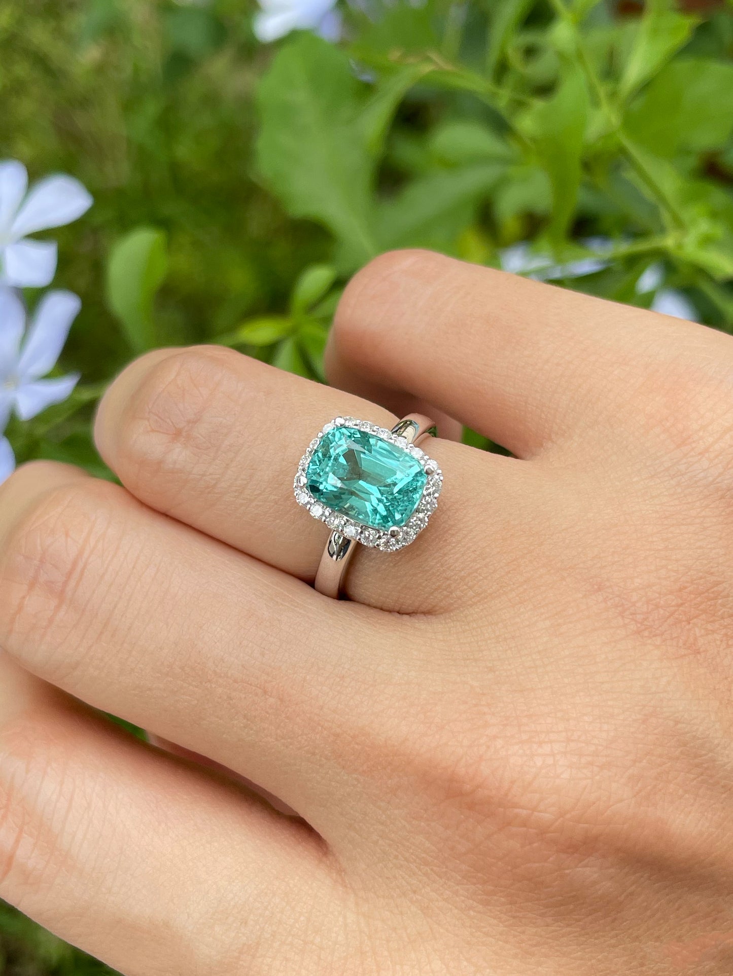 Lagoon Tourmaline Ring - 3.85CT (NJR195)