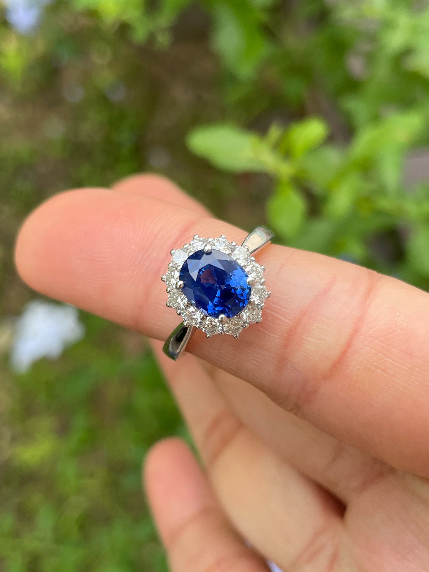 Unheated Blue Sapphire Ring - 2.4CT (NJR206)