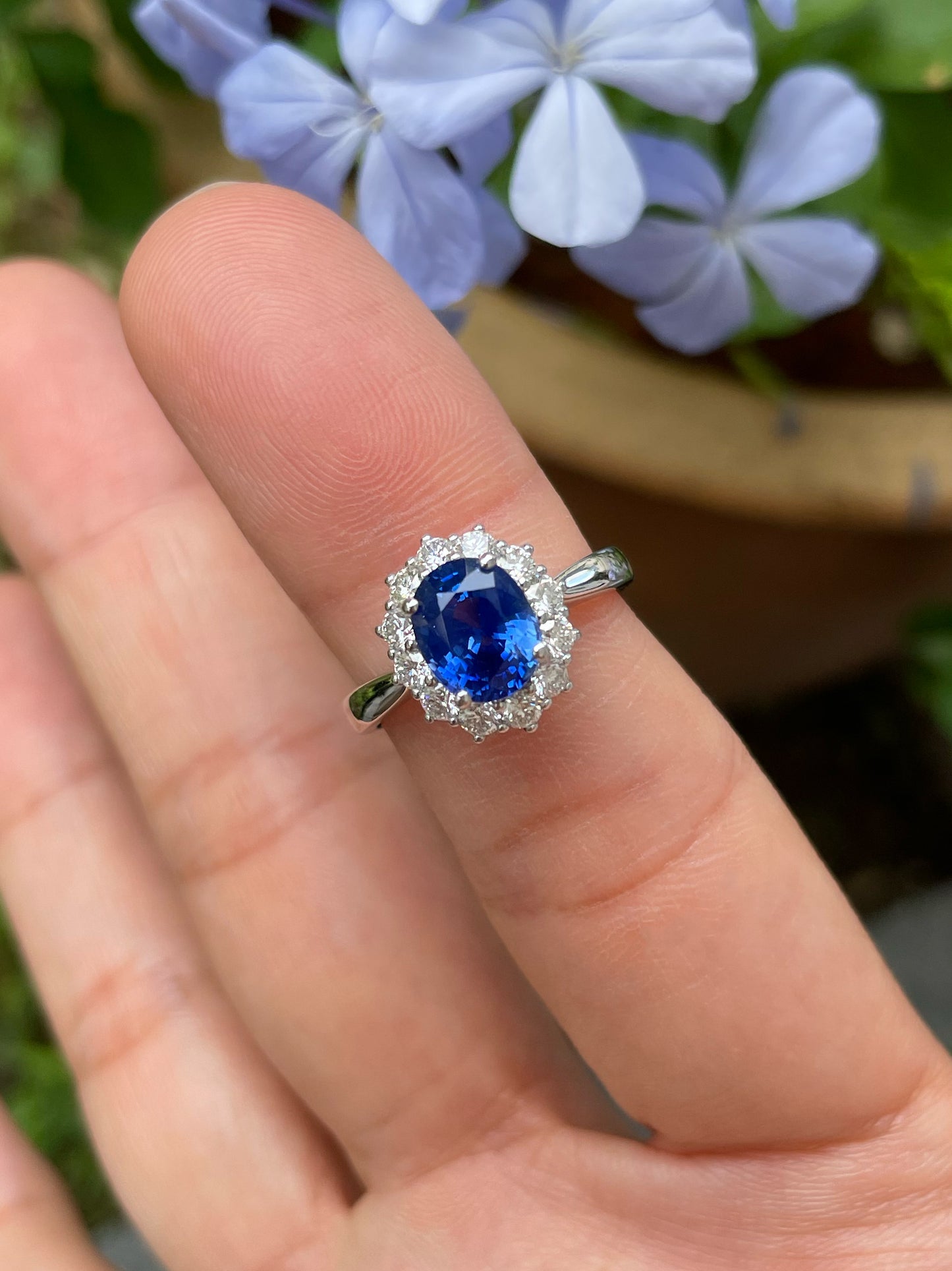 Unheated Blue Sapphire Ring - 2.4CT (NJR206)