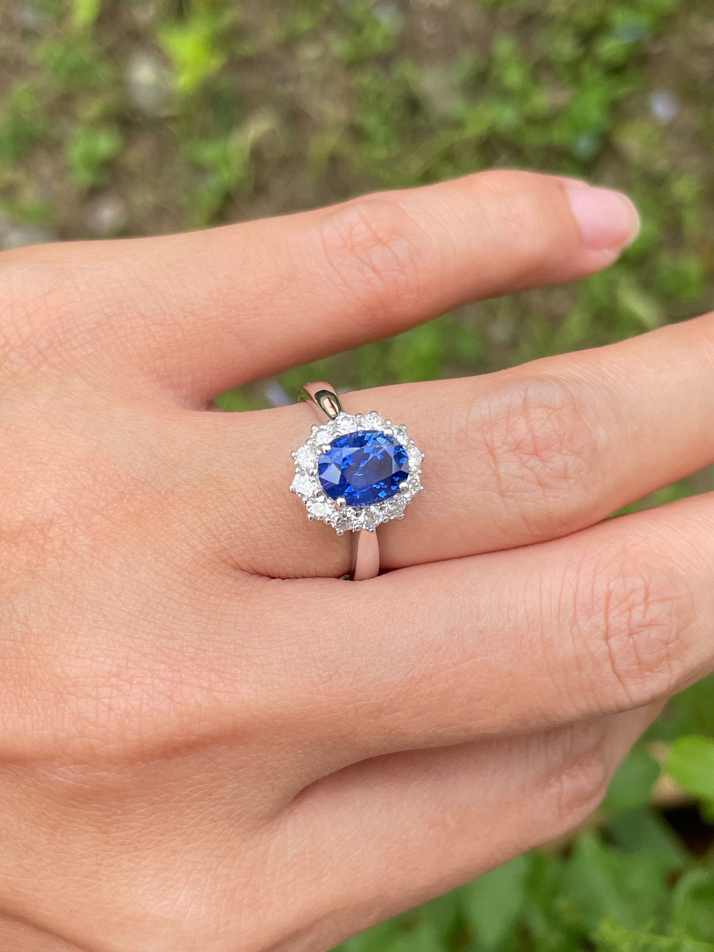 Unheated Blue Sapphire Ring - 2.4CT (NJR206)