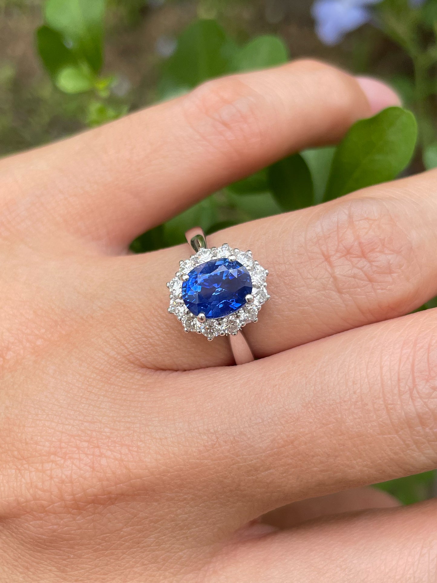 Unheated Blue Sapphire Ring - 2.4CT (NJR206)