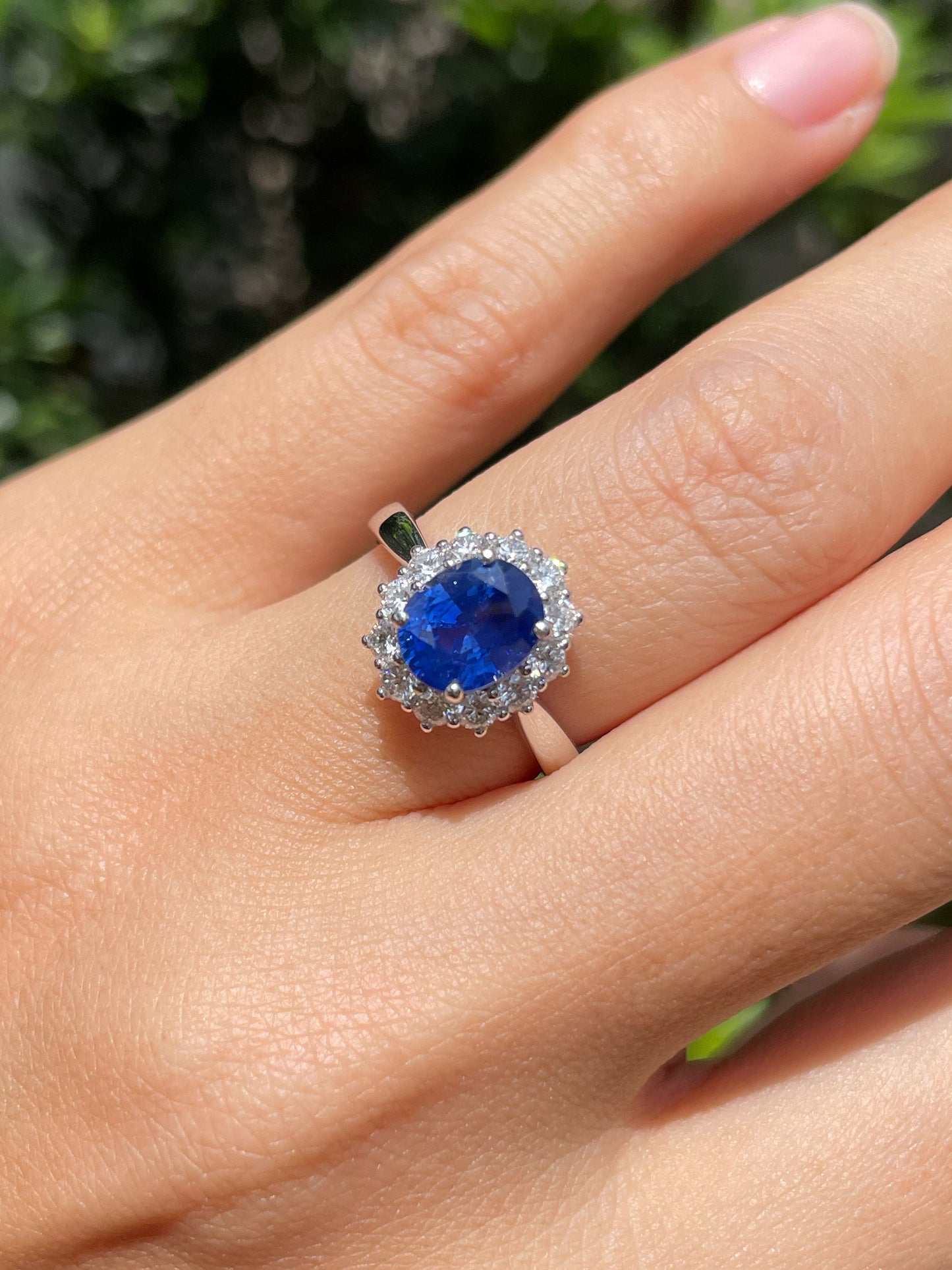 Unheated Blue Sapphire Ring - 2.4CT (NJR206)