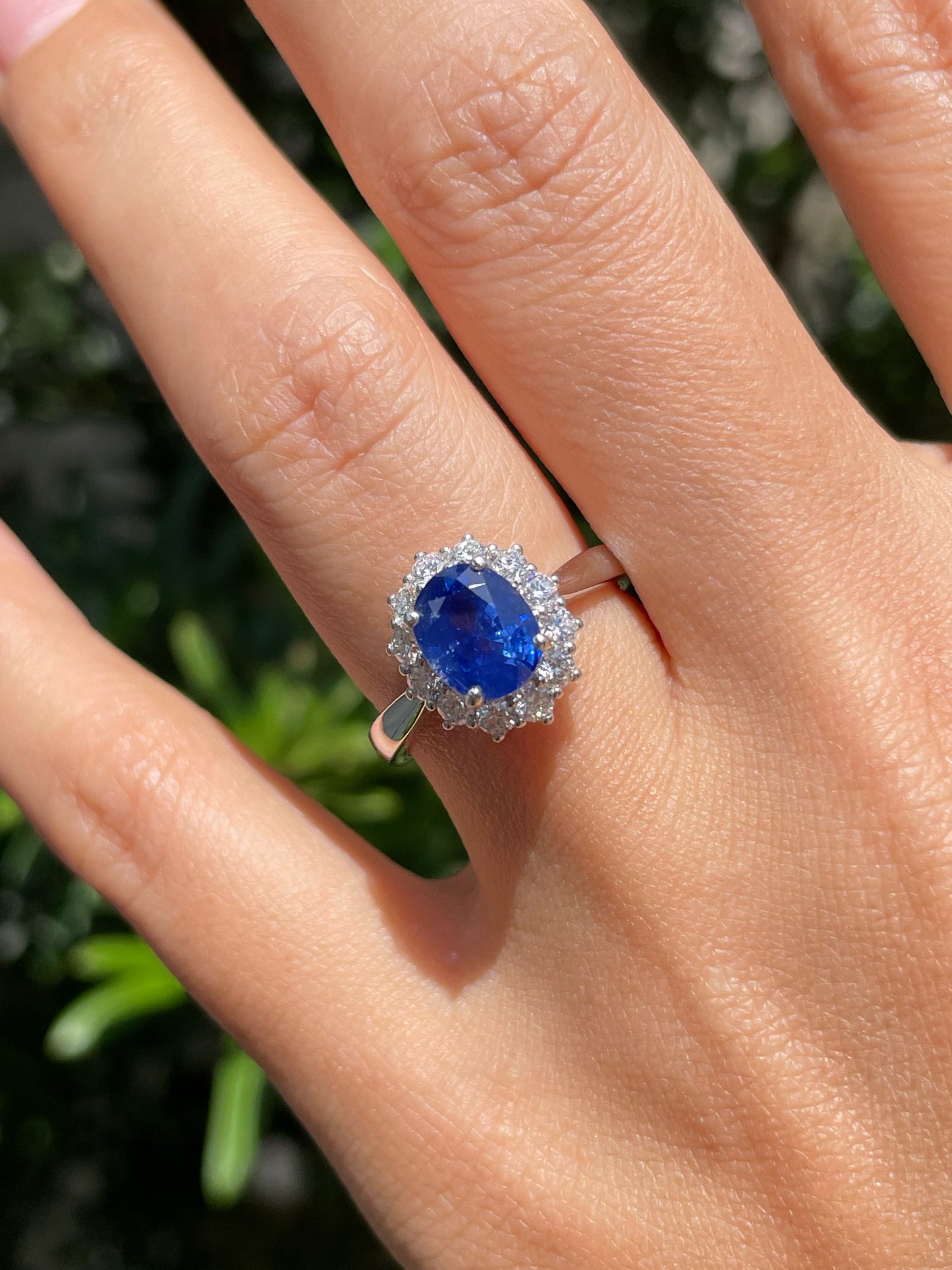 Unheated Blue Sapphire Ring - 2.4CT (NJR206)