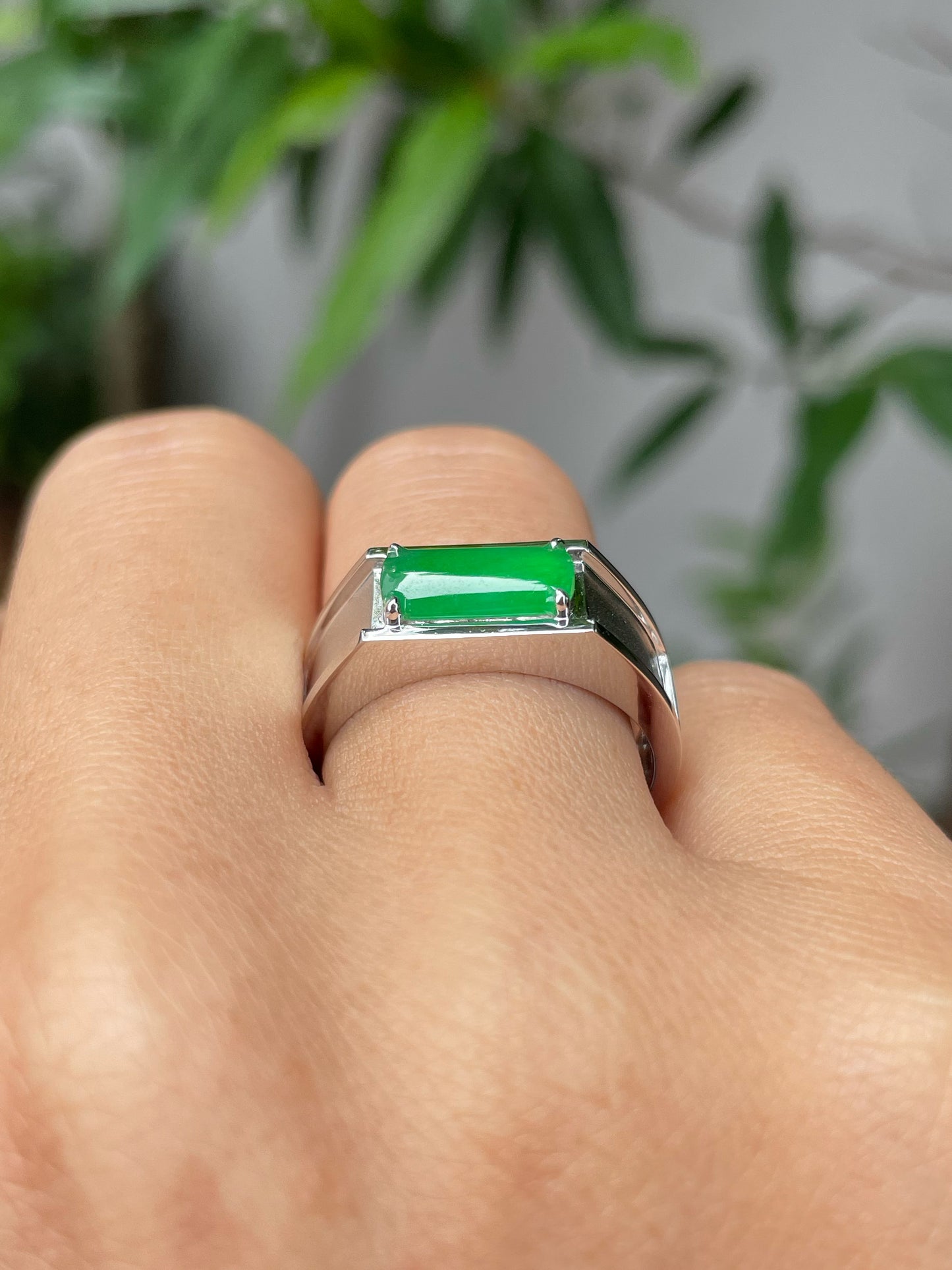 Green Jade Ring (NJR226)
