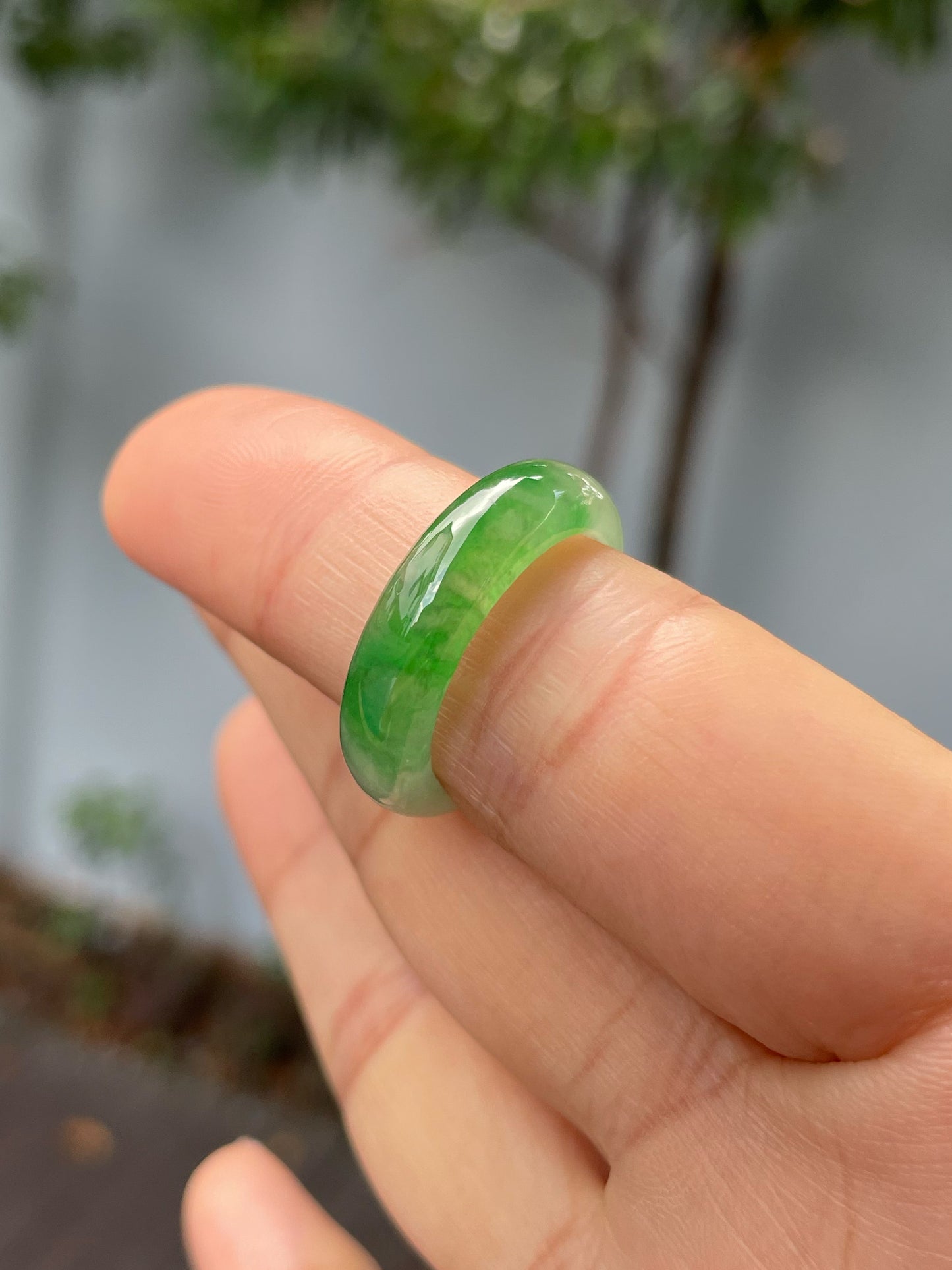 Green Jade Abacus Ring | HK 16 (NJR240)