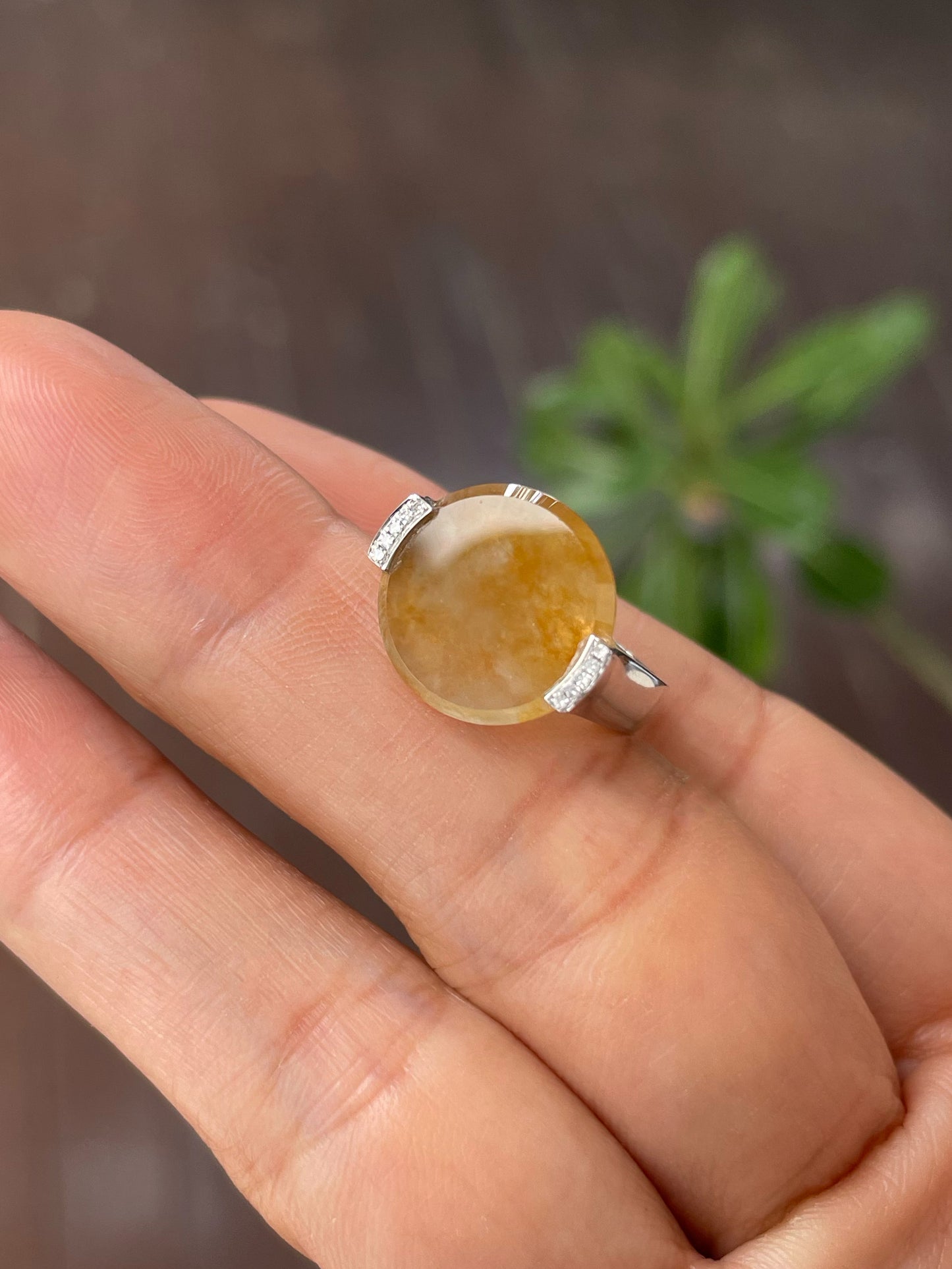 Icy Yellow Jadeite Ring - Round Disc (NJR267)