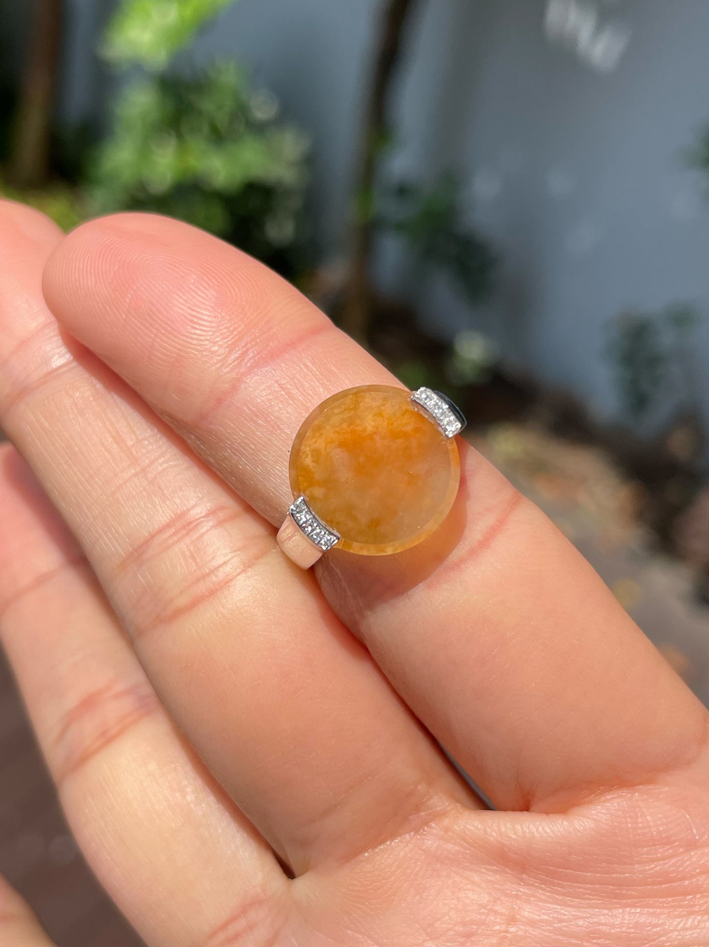 Icy Yellow Jadeite Ring - Round Disc (NJR267)