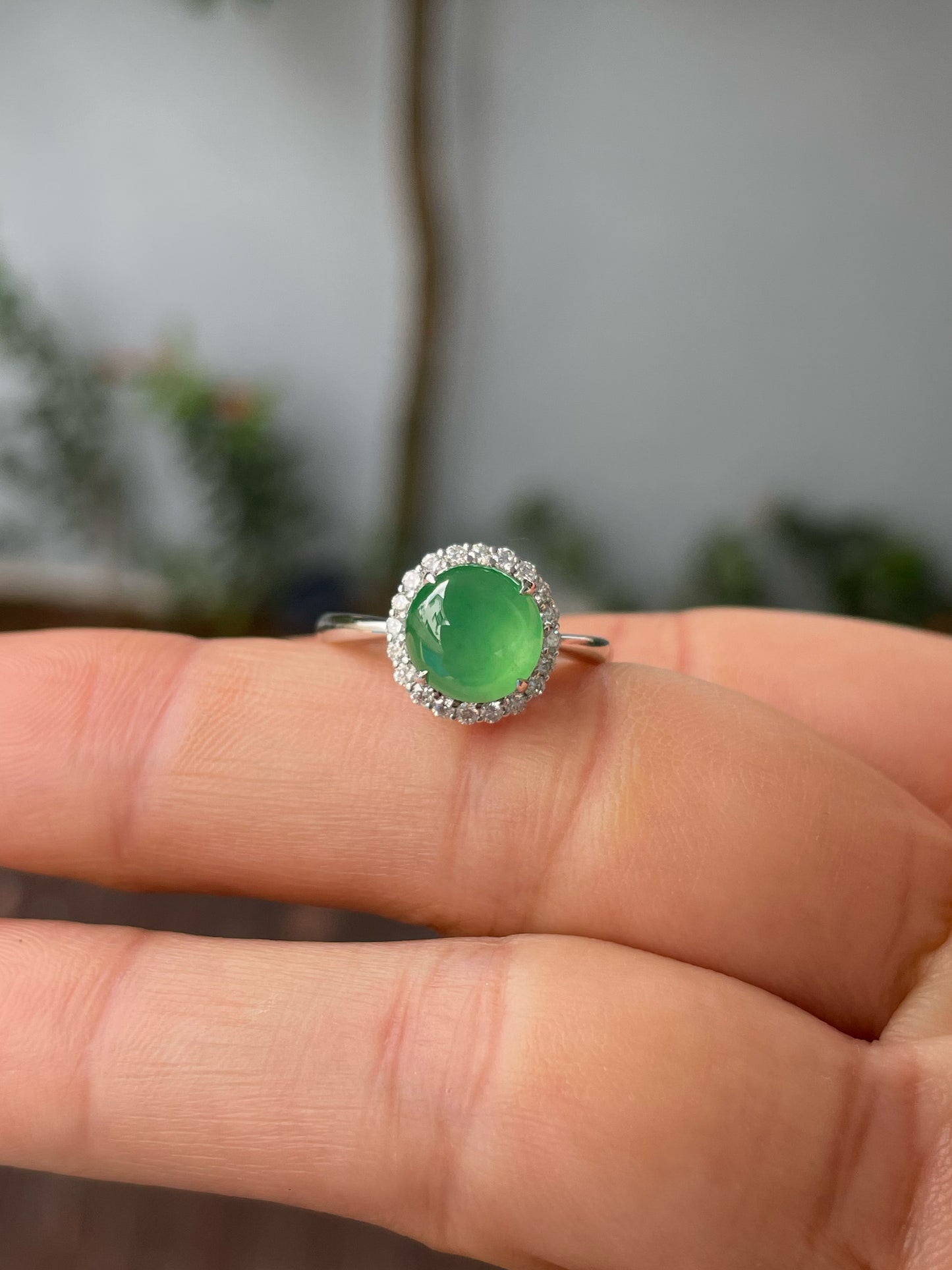 Icy Green Jadeite Cabochon (NJR275)