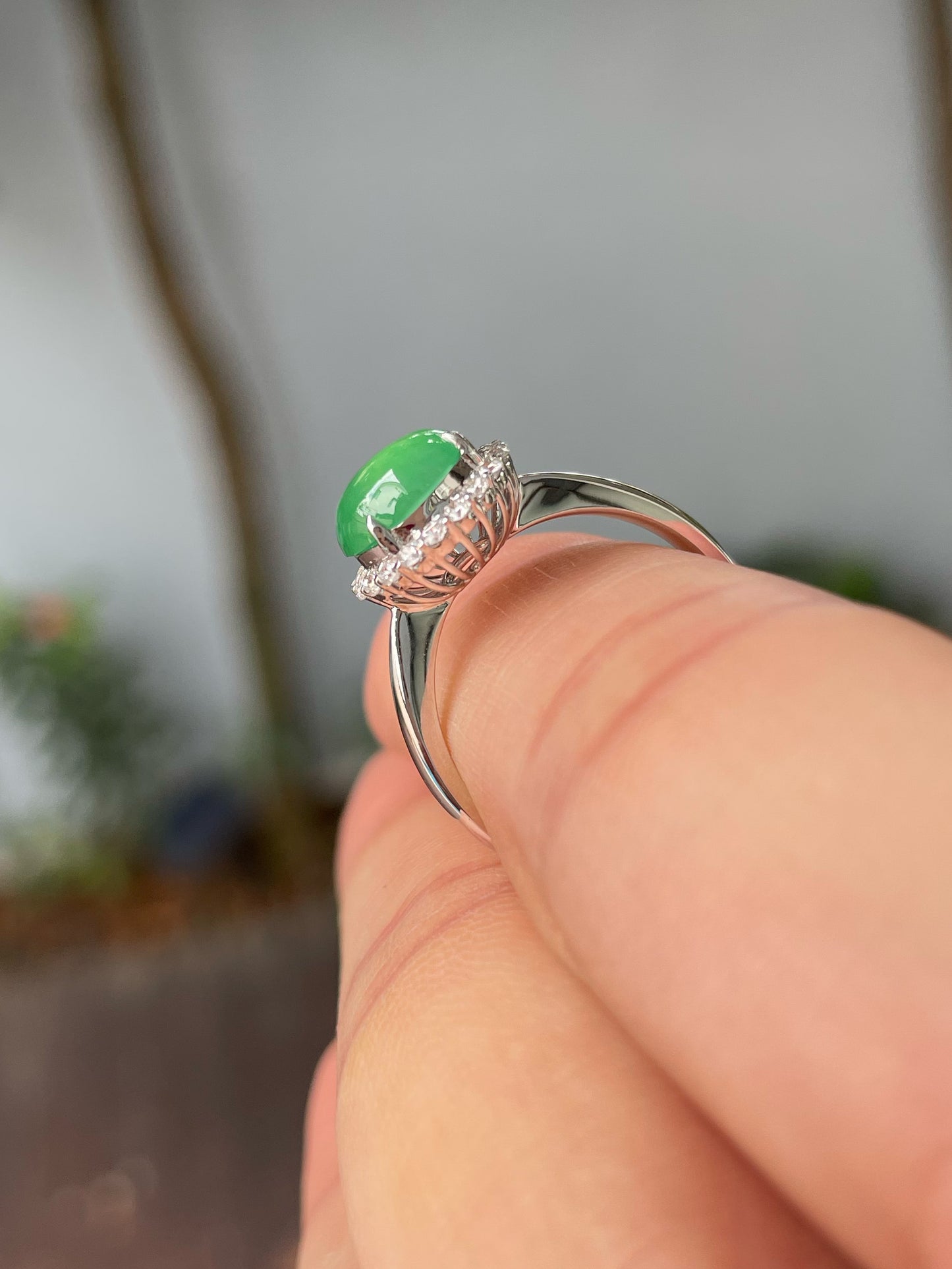 Icy Green Jadeite Cabochon (NJR275)