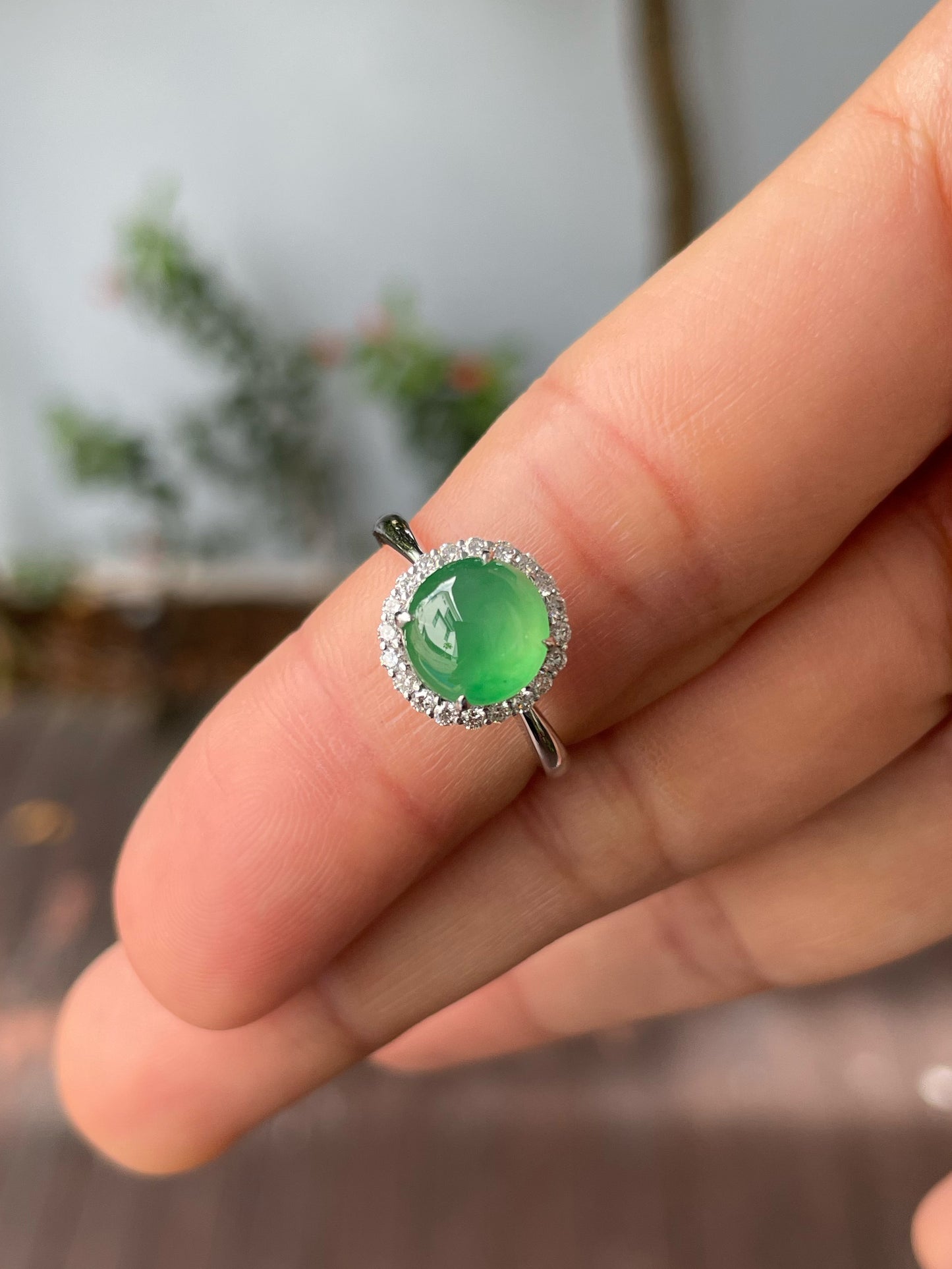 Icy Green Jadeite Cabochon (NJR275)