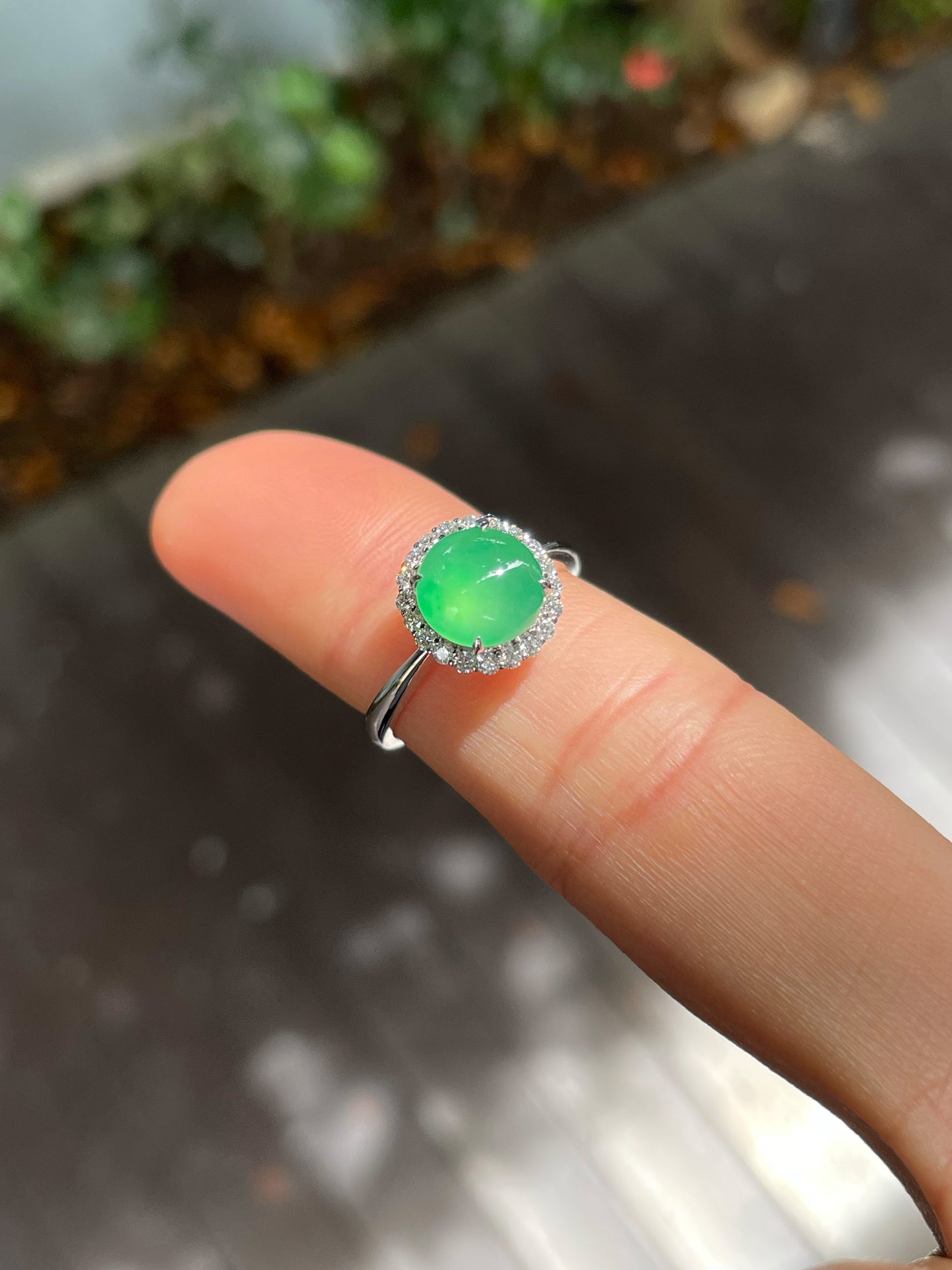 Icy Green Jadeite Cabochon (NJR275)