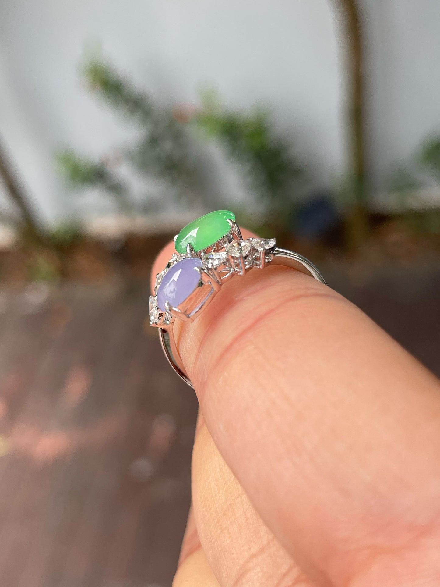 Green & Lavender Jade Ring - Cabochons (NJR288)
