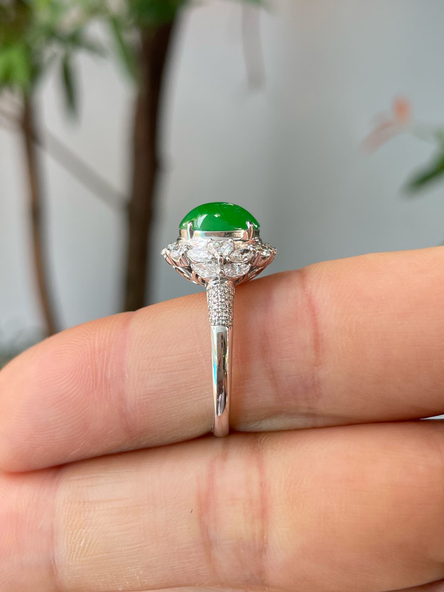 Green Jade Cabochon Ring (NJR323)
