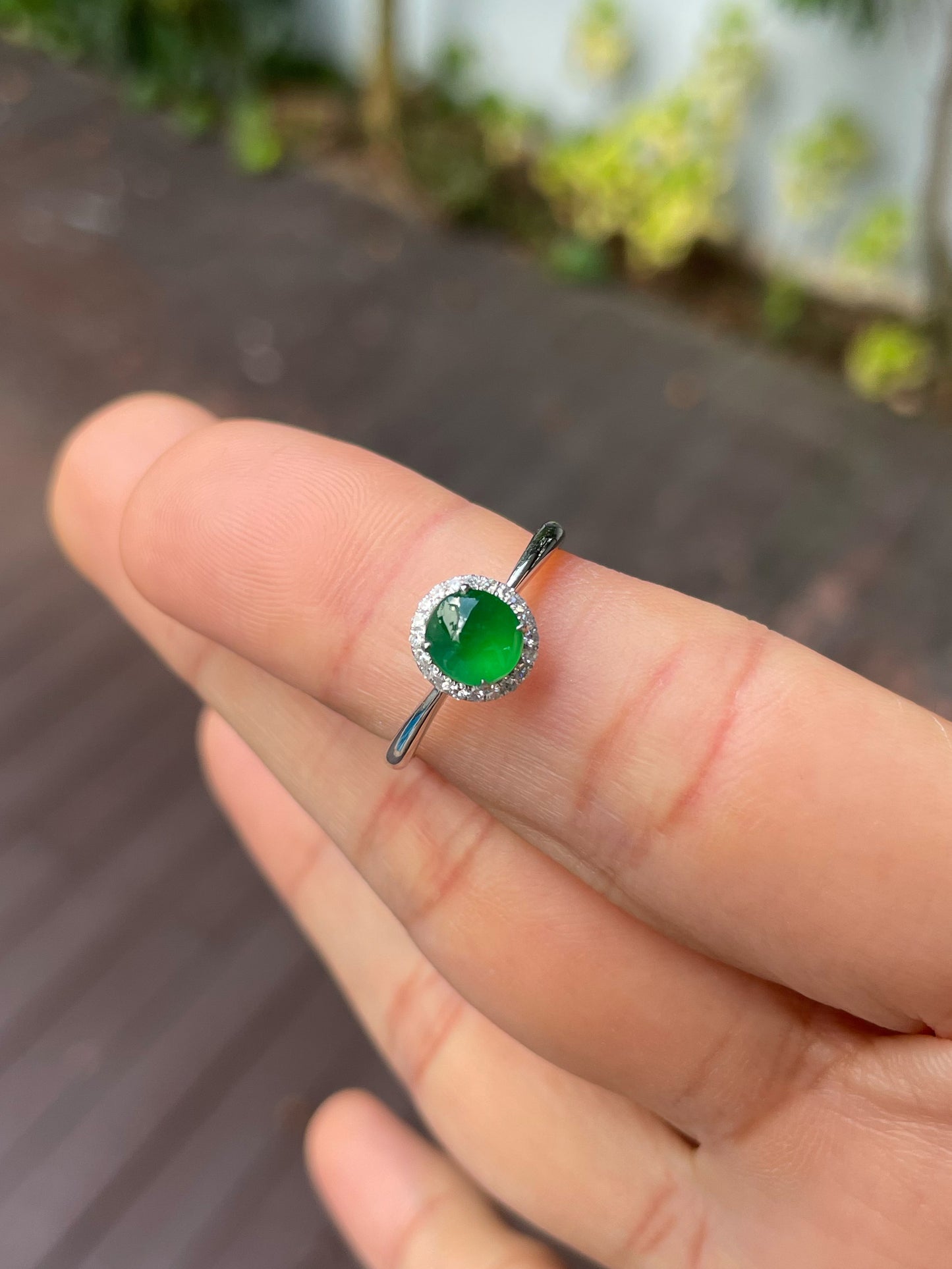 Green Jadeite Cabochon Ring (NJR325)