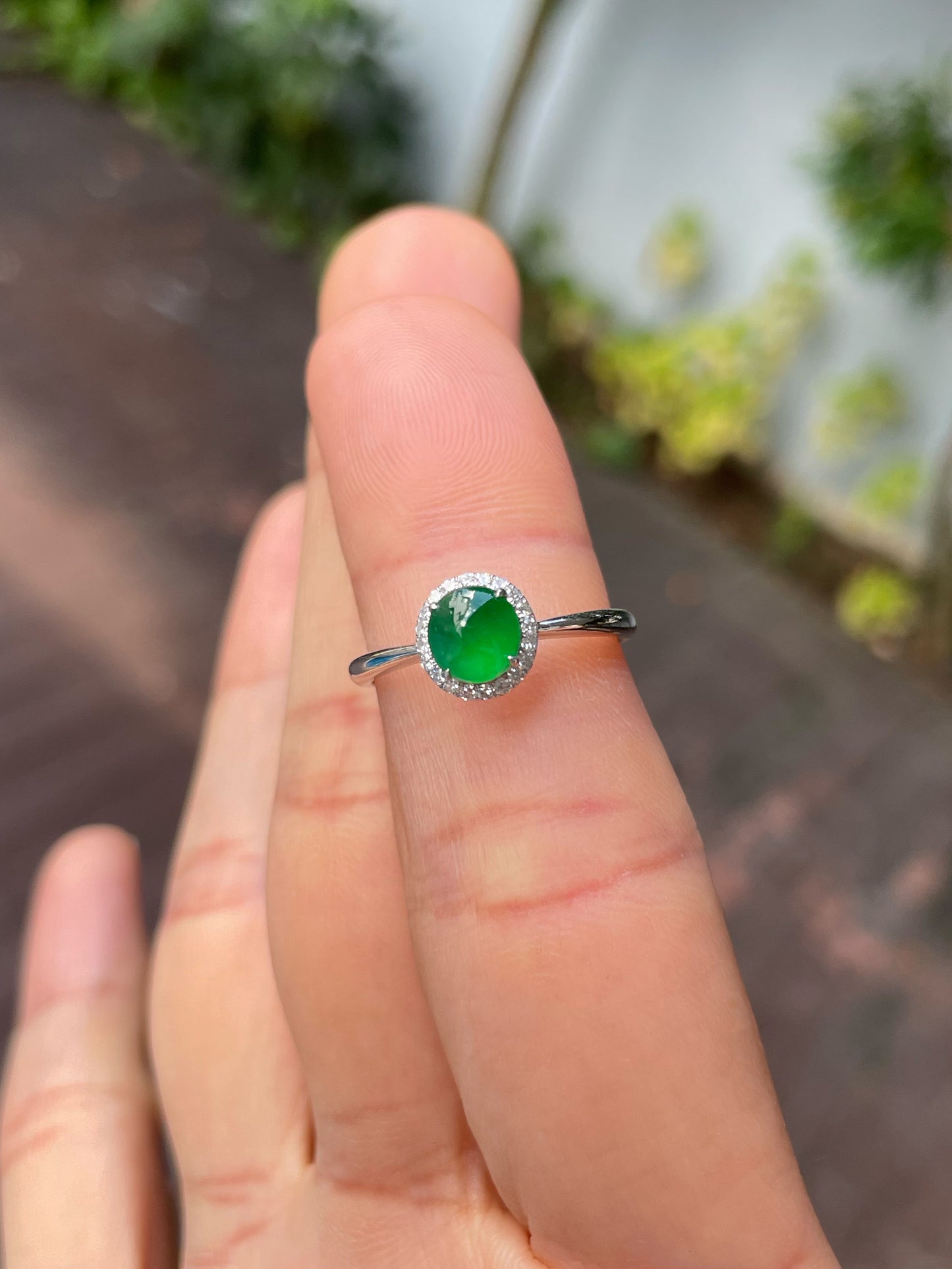 Green Jadeite Cabochon Ring (NJR325)