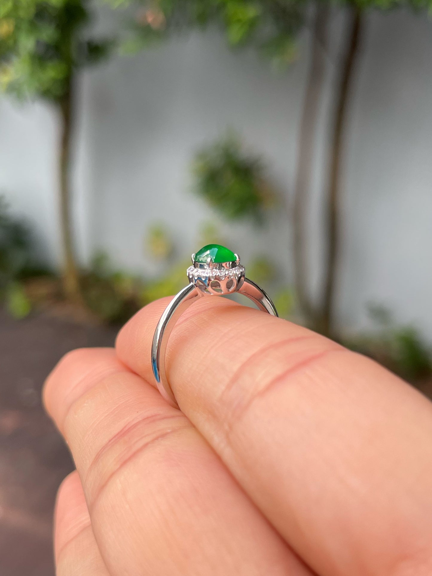 Green Jadeite Cabochon Ring (NJR325)